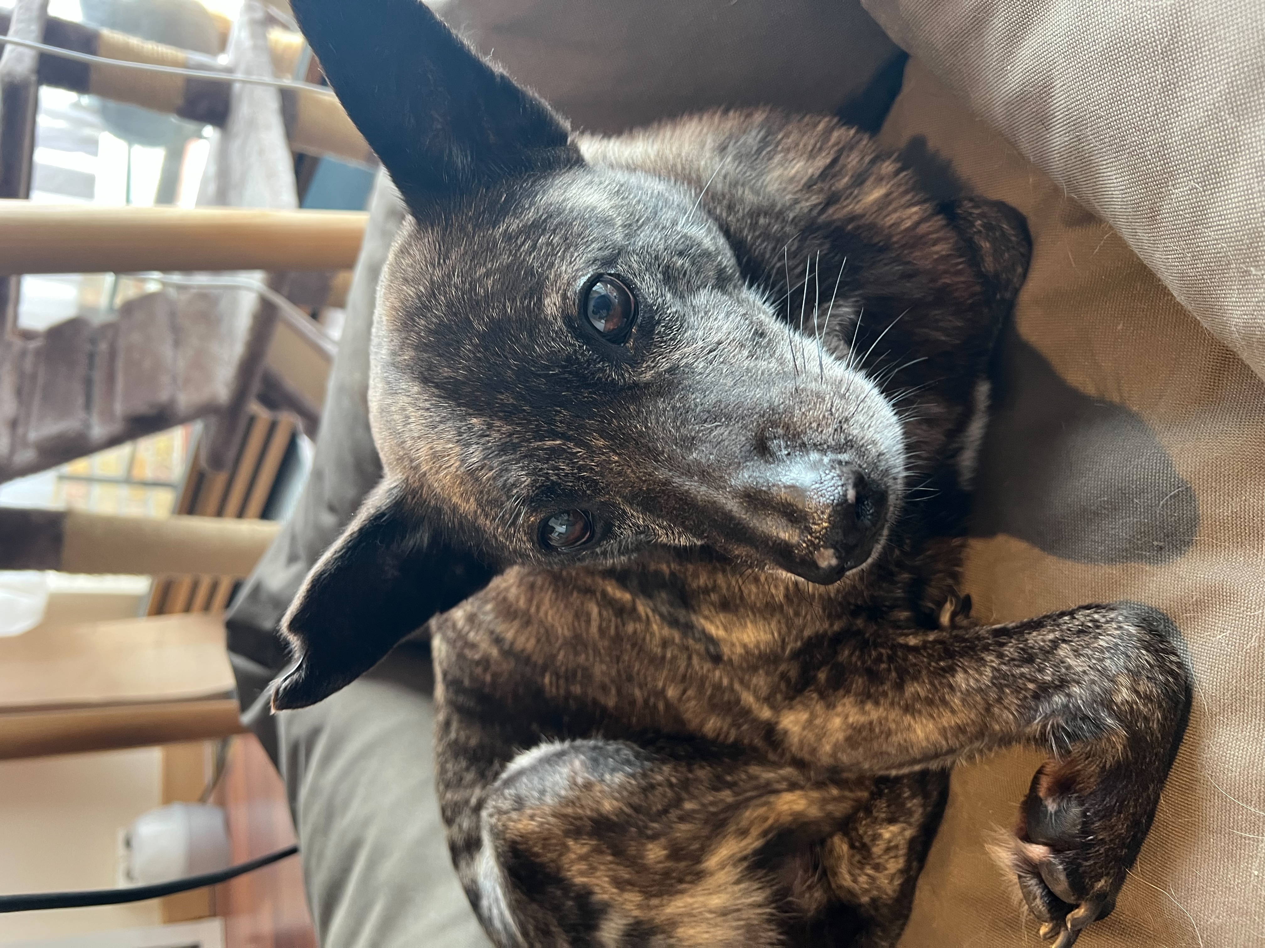 image-6
