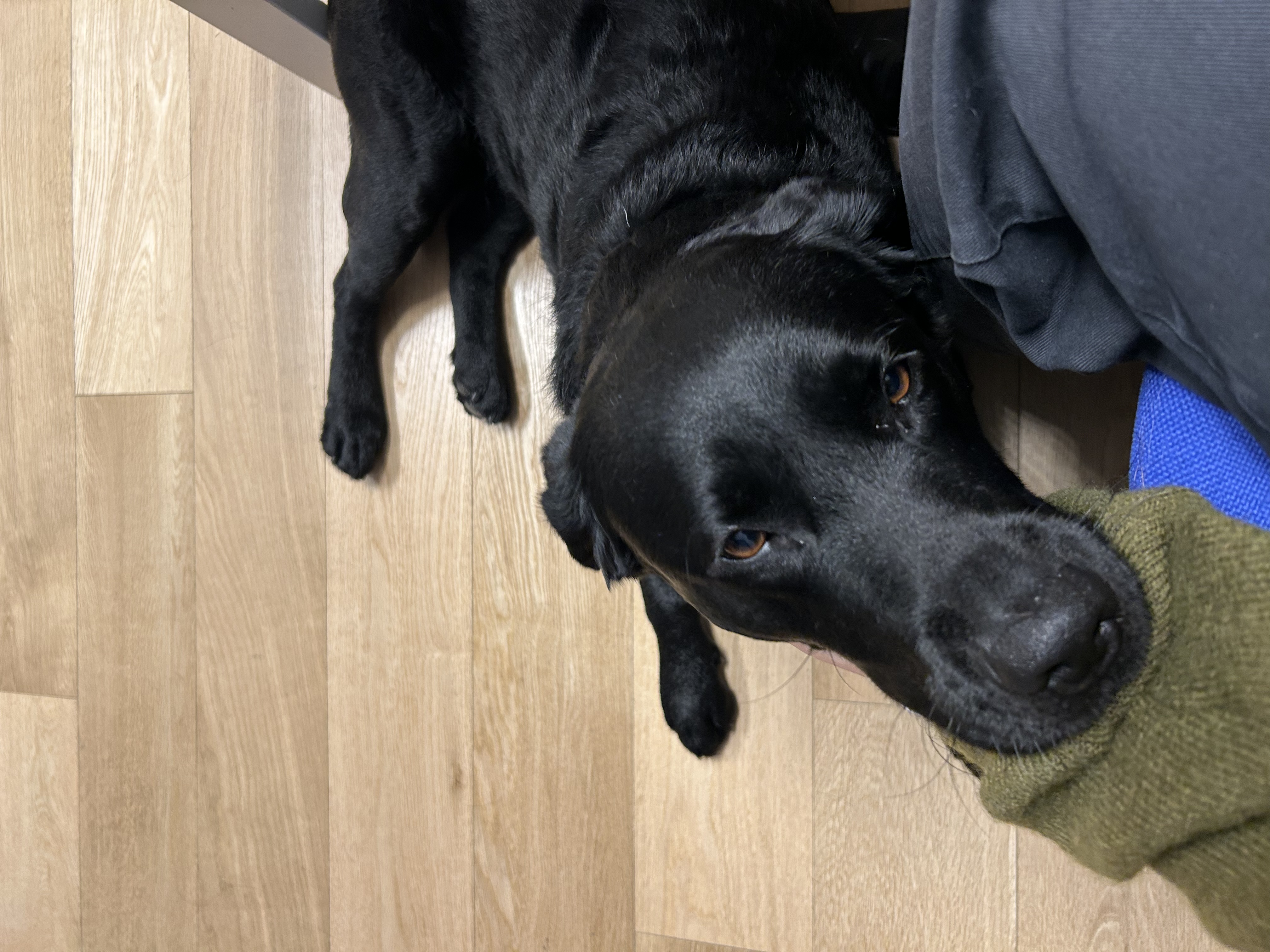 image-12