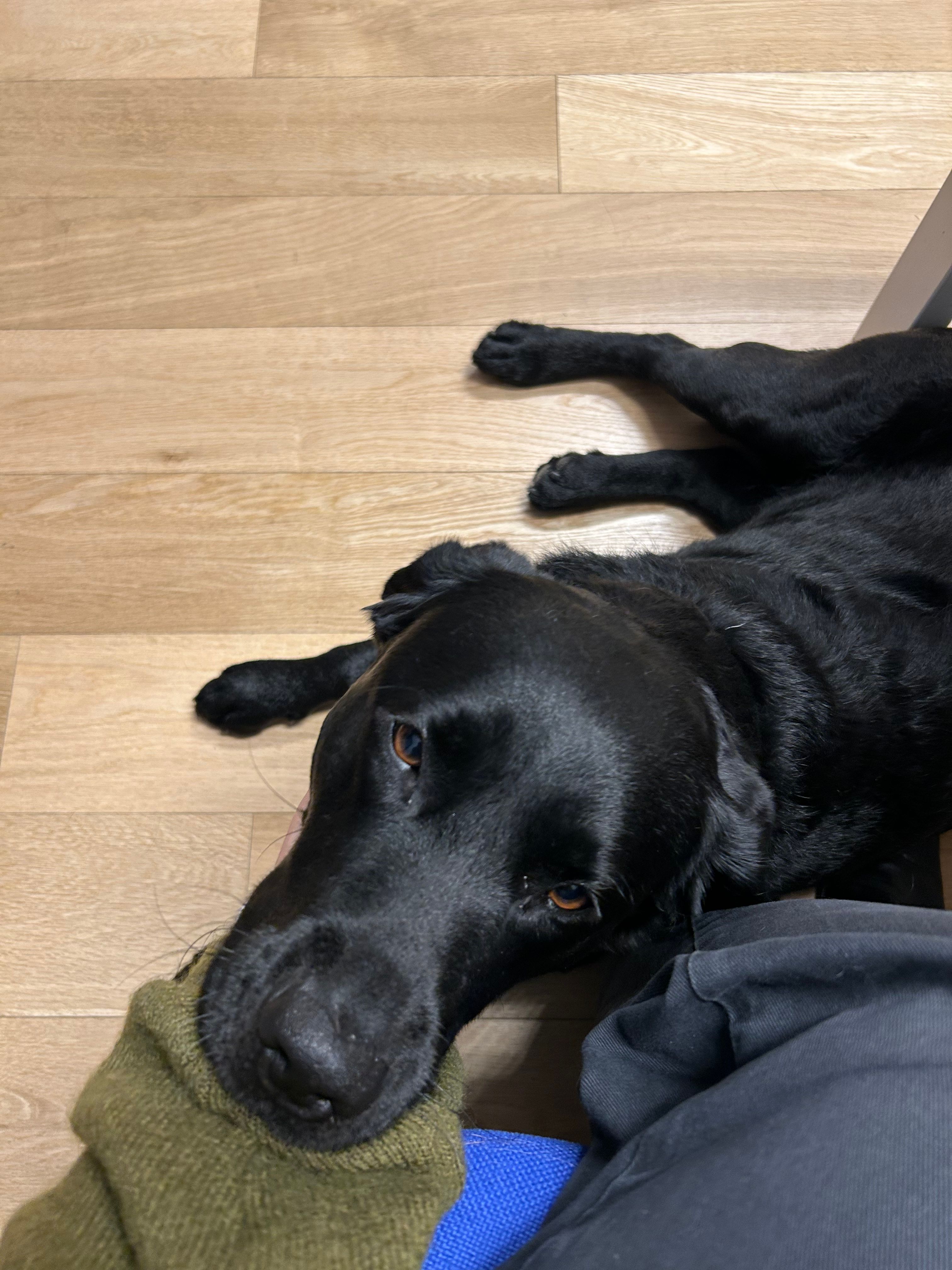 image-12