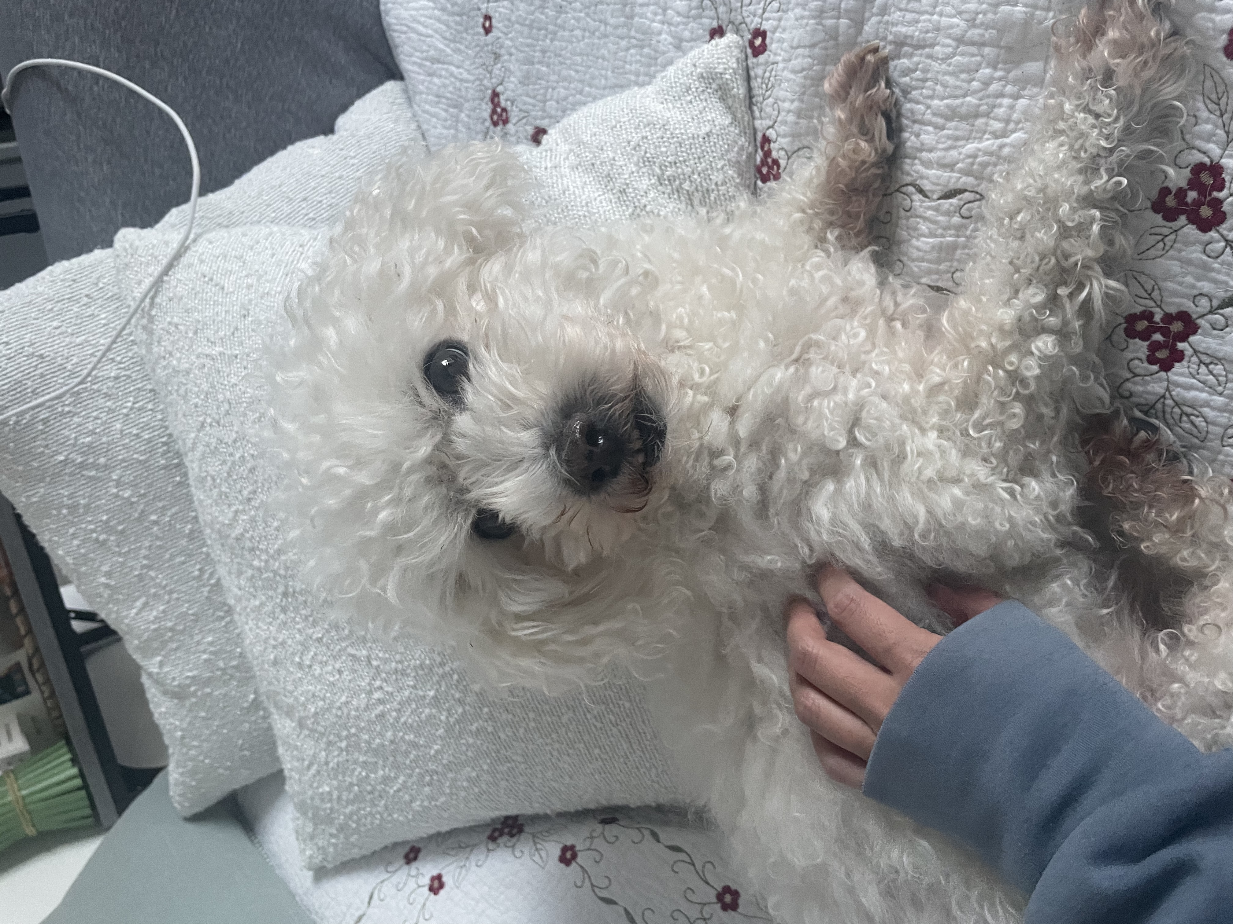 image-9