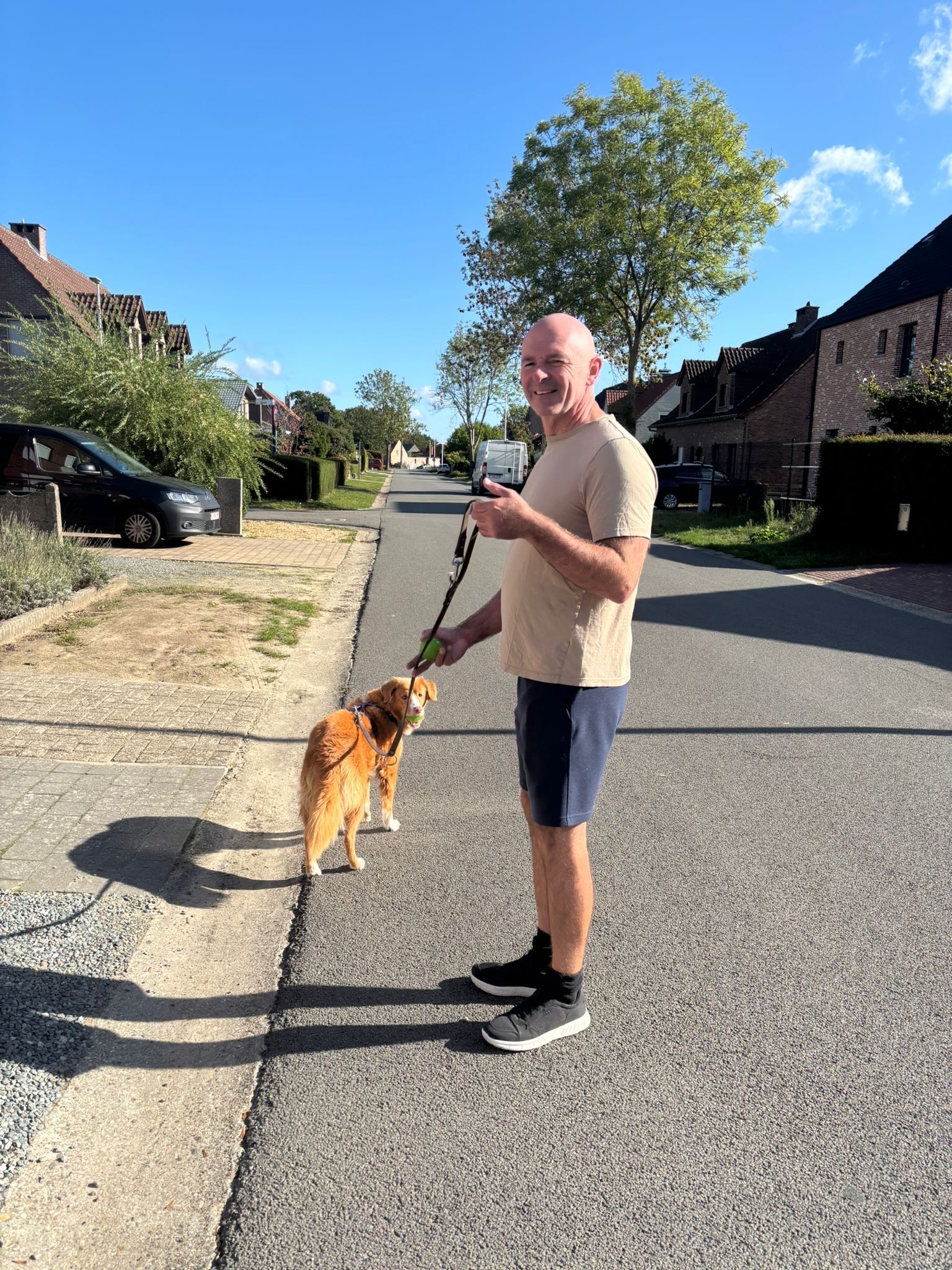 image-17