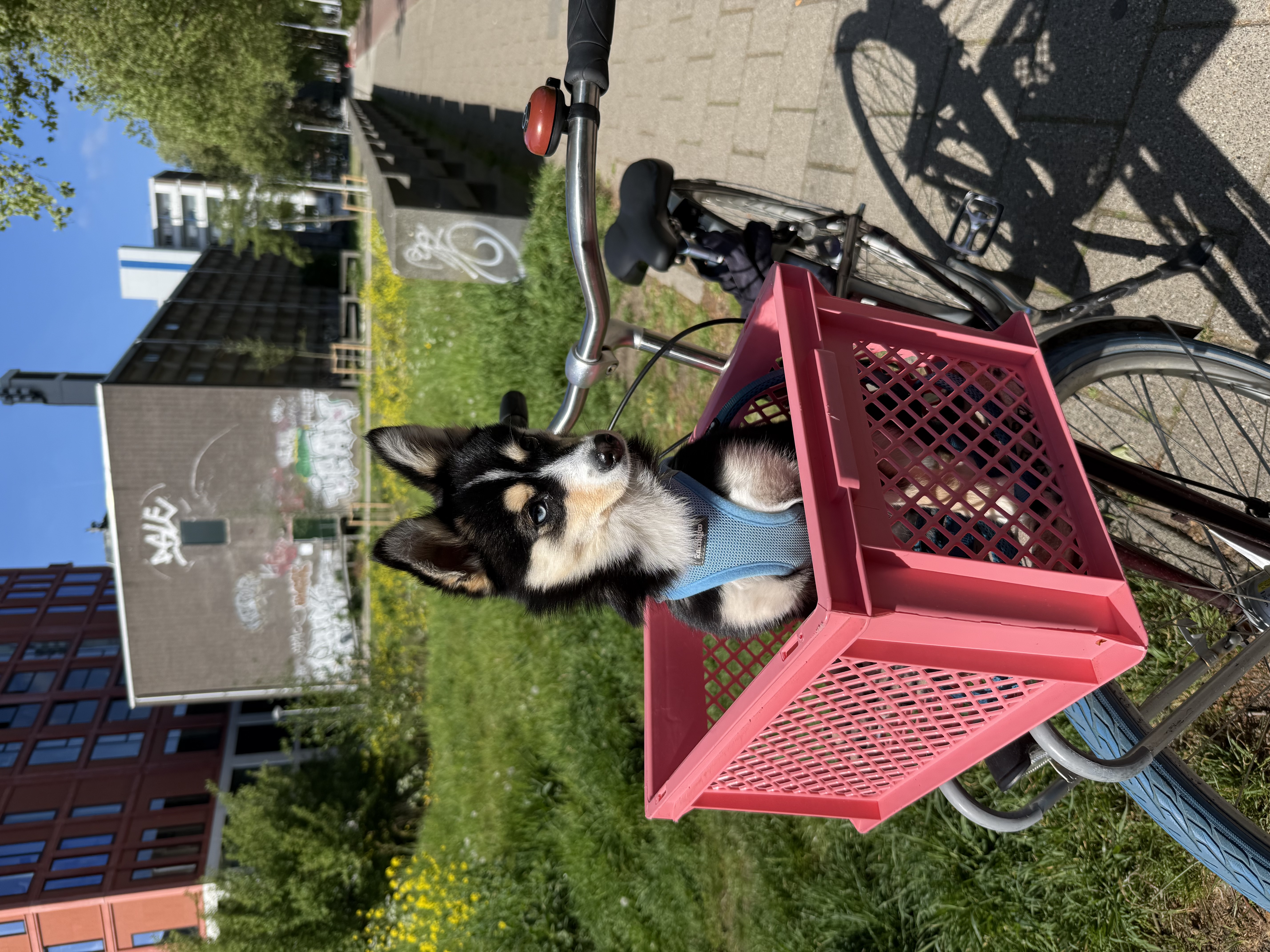 image-11