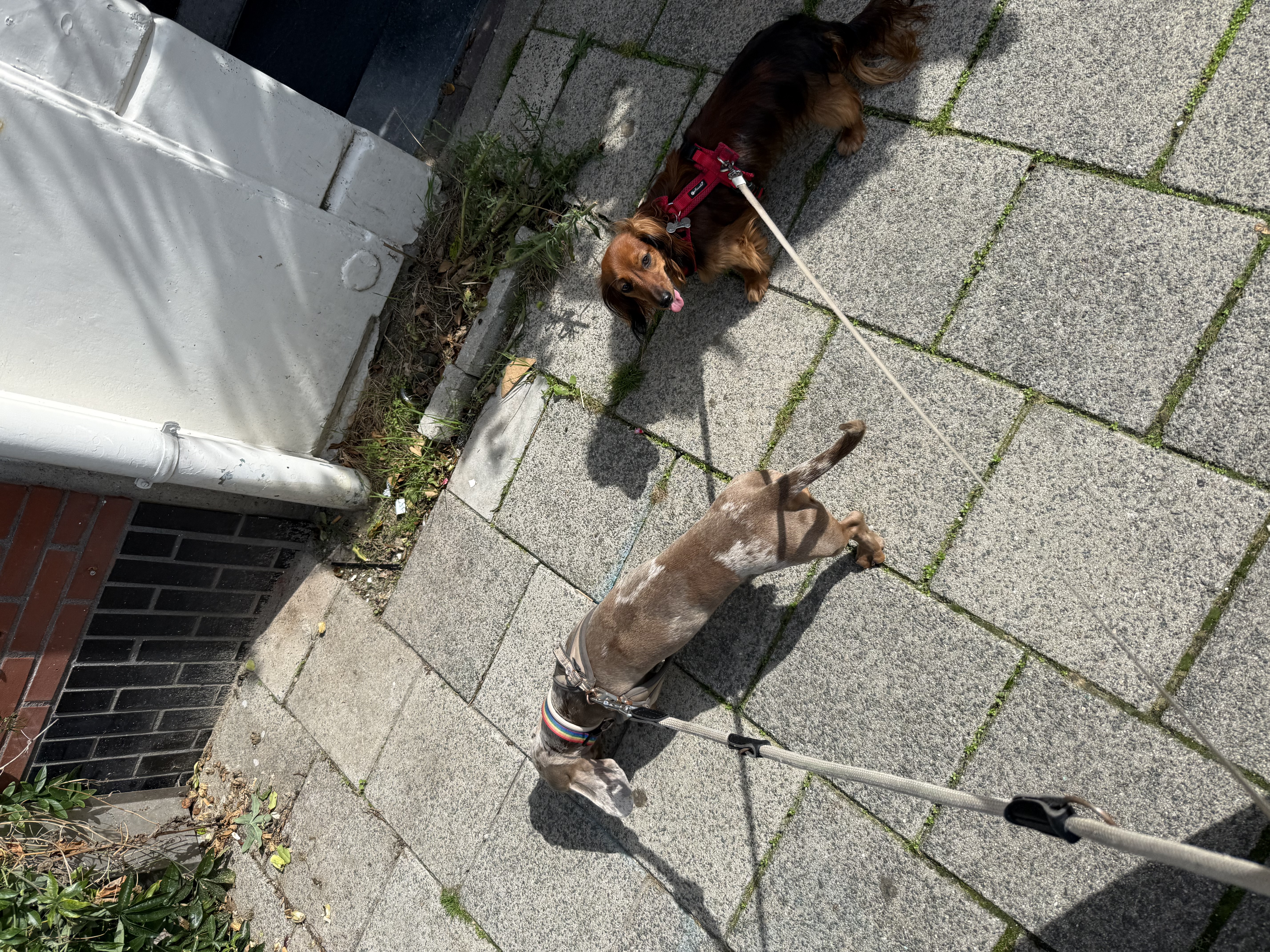 image-8