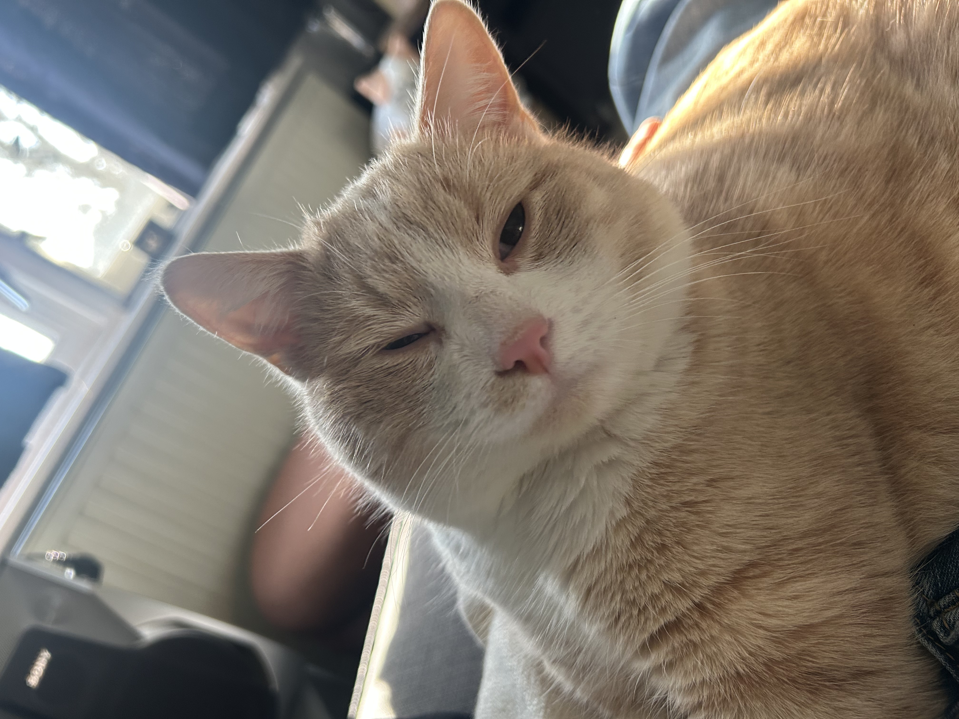 image-8