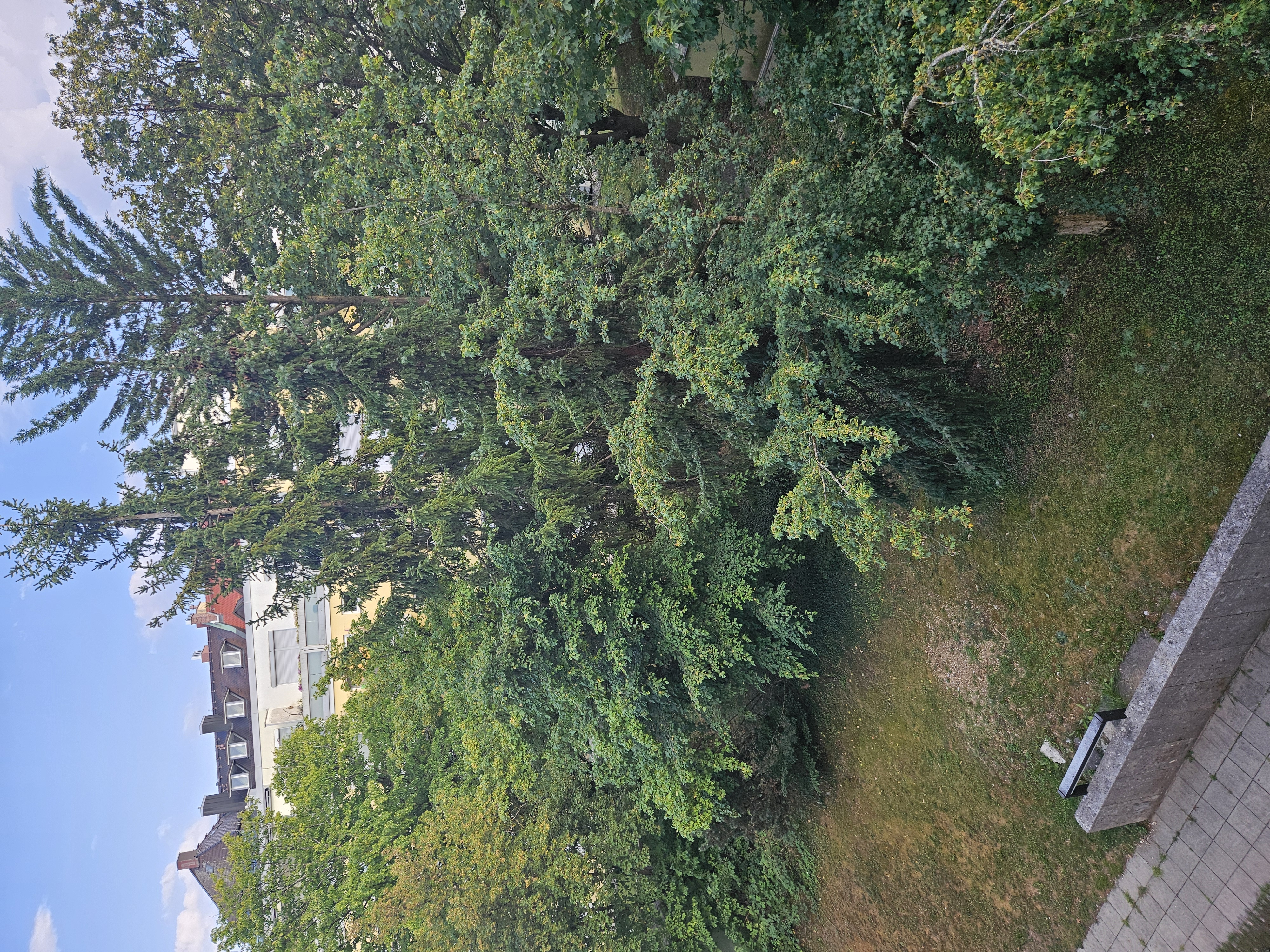 image-17