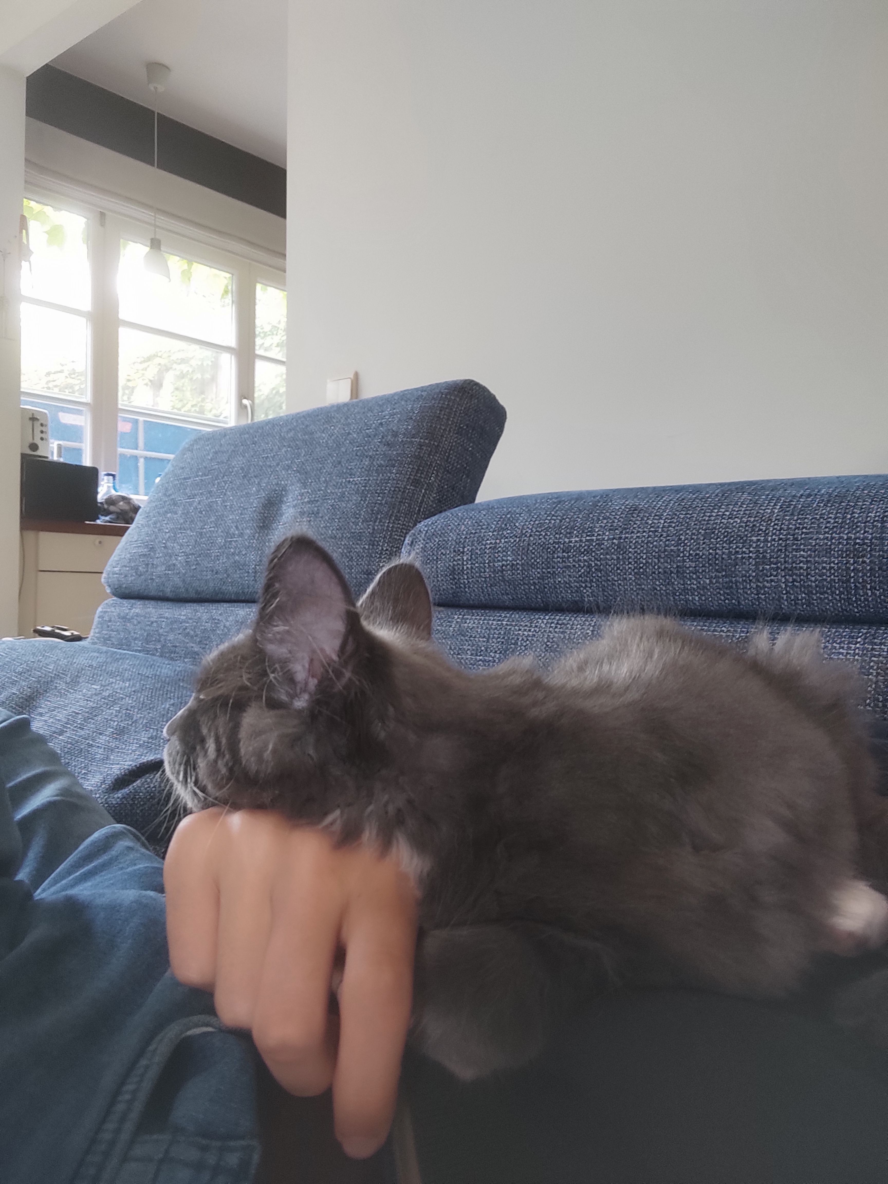 image-6