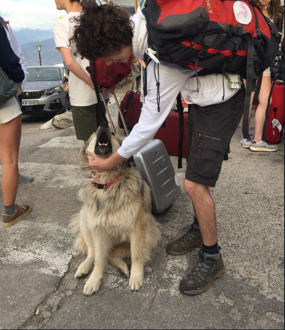 image-9