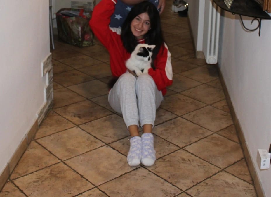 image-6