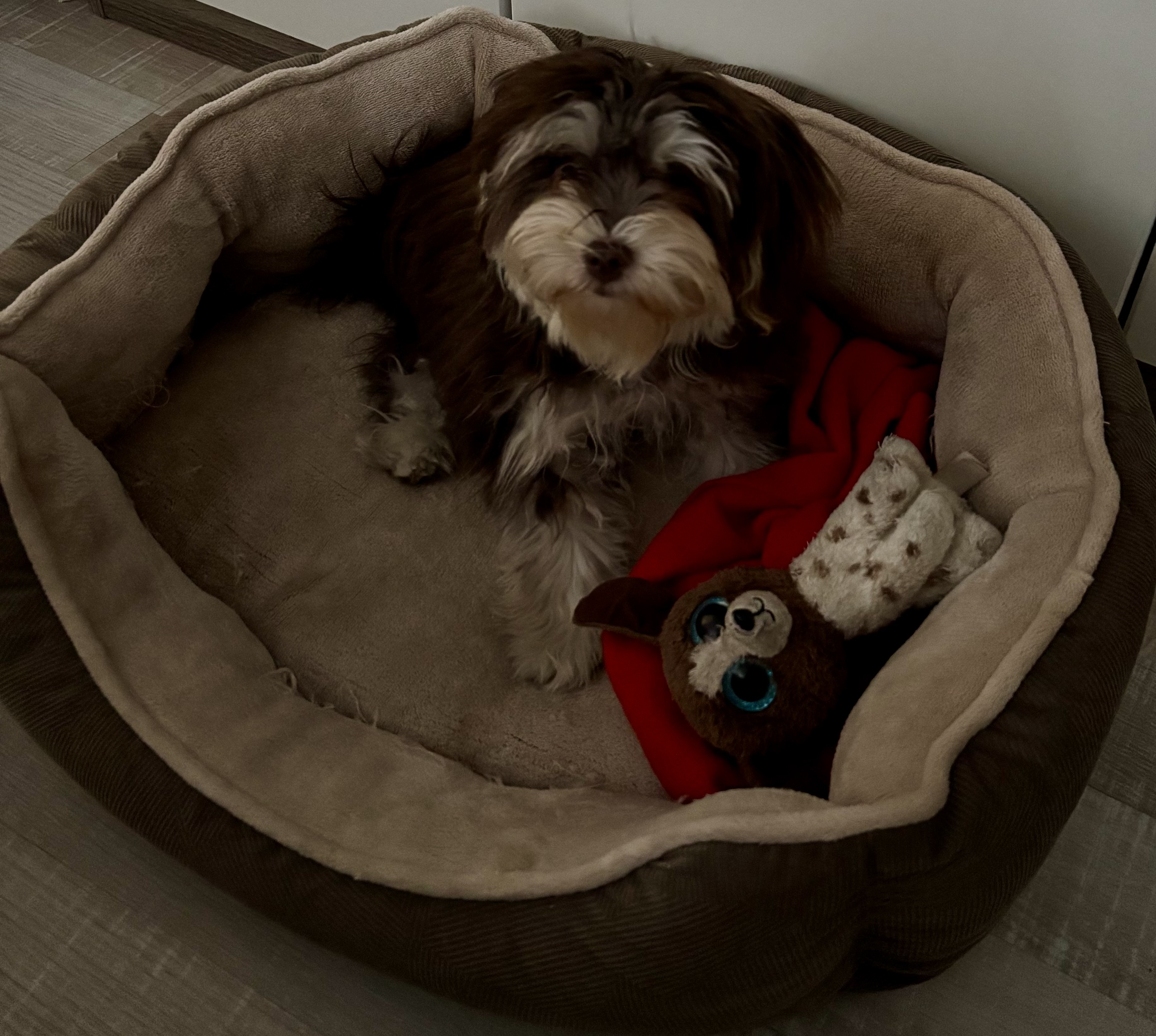 image-15