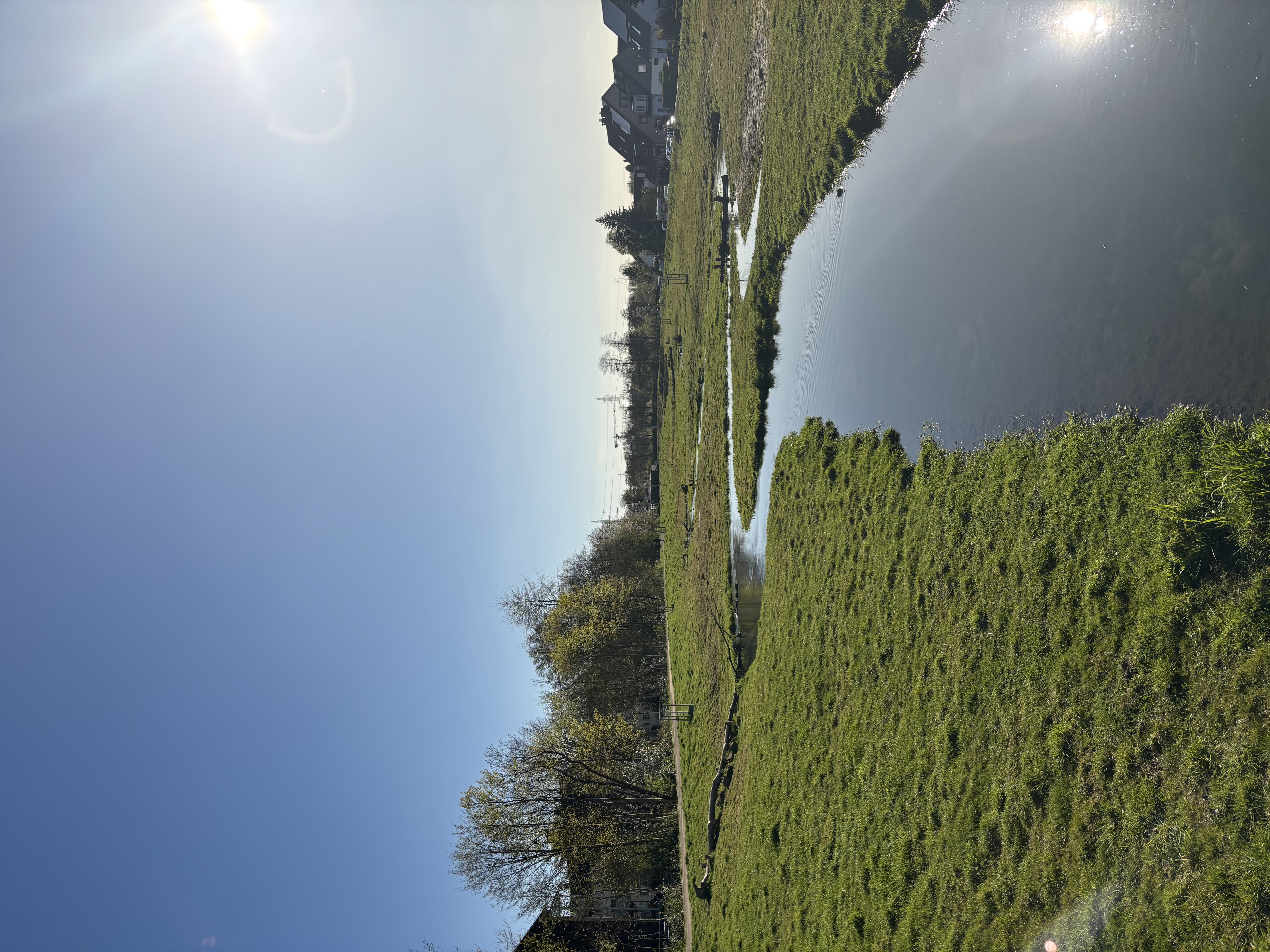 image-19