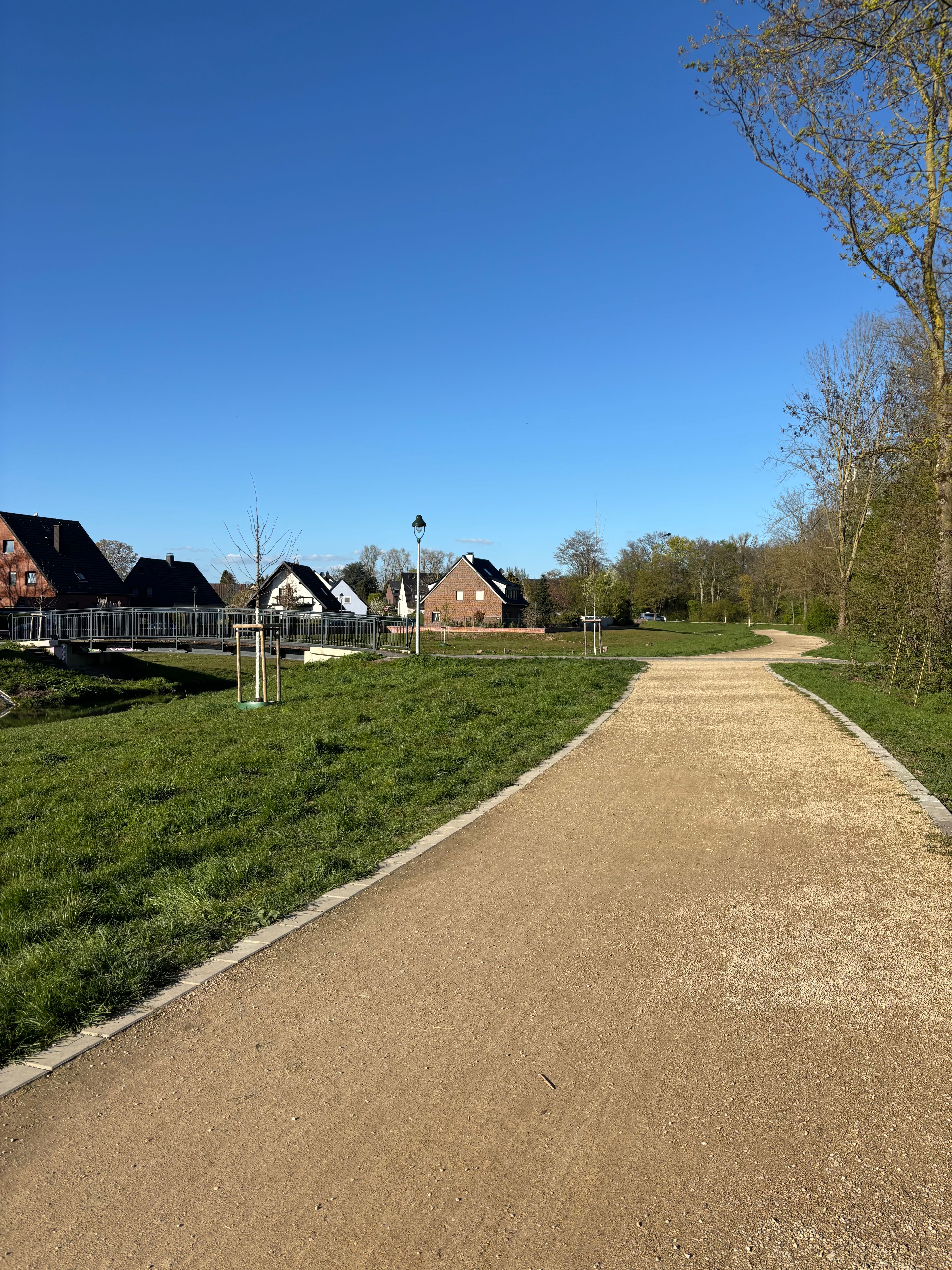 image-18