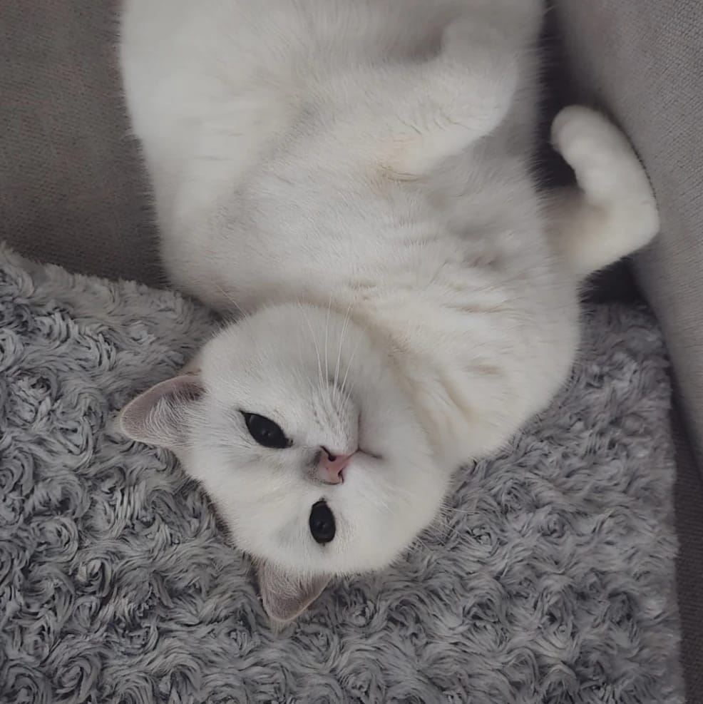 Rio