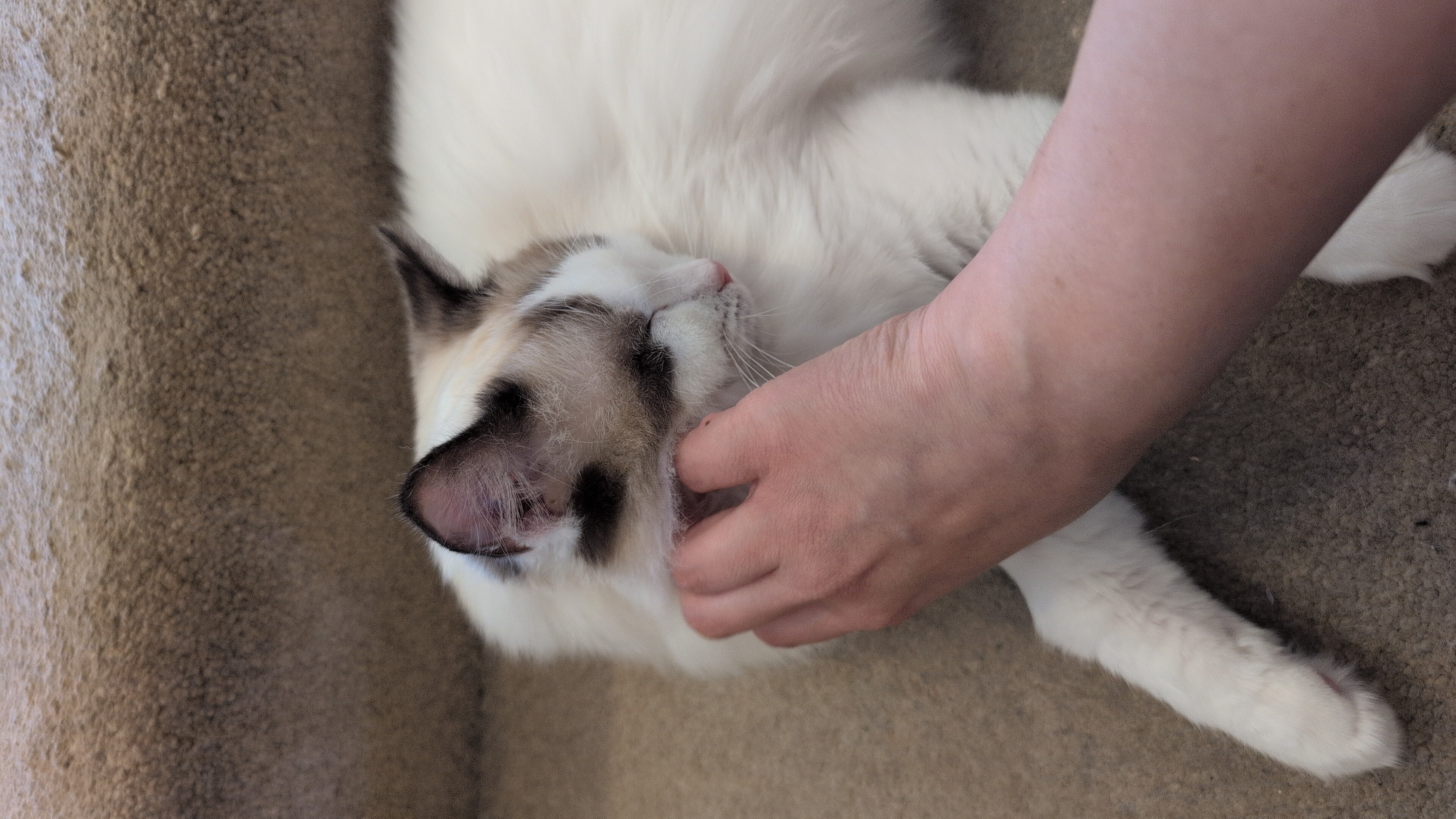 image-9