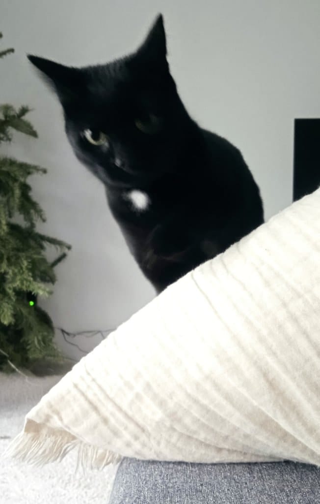 image-14