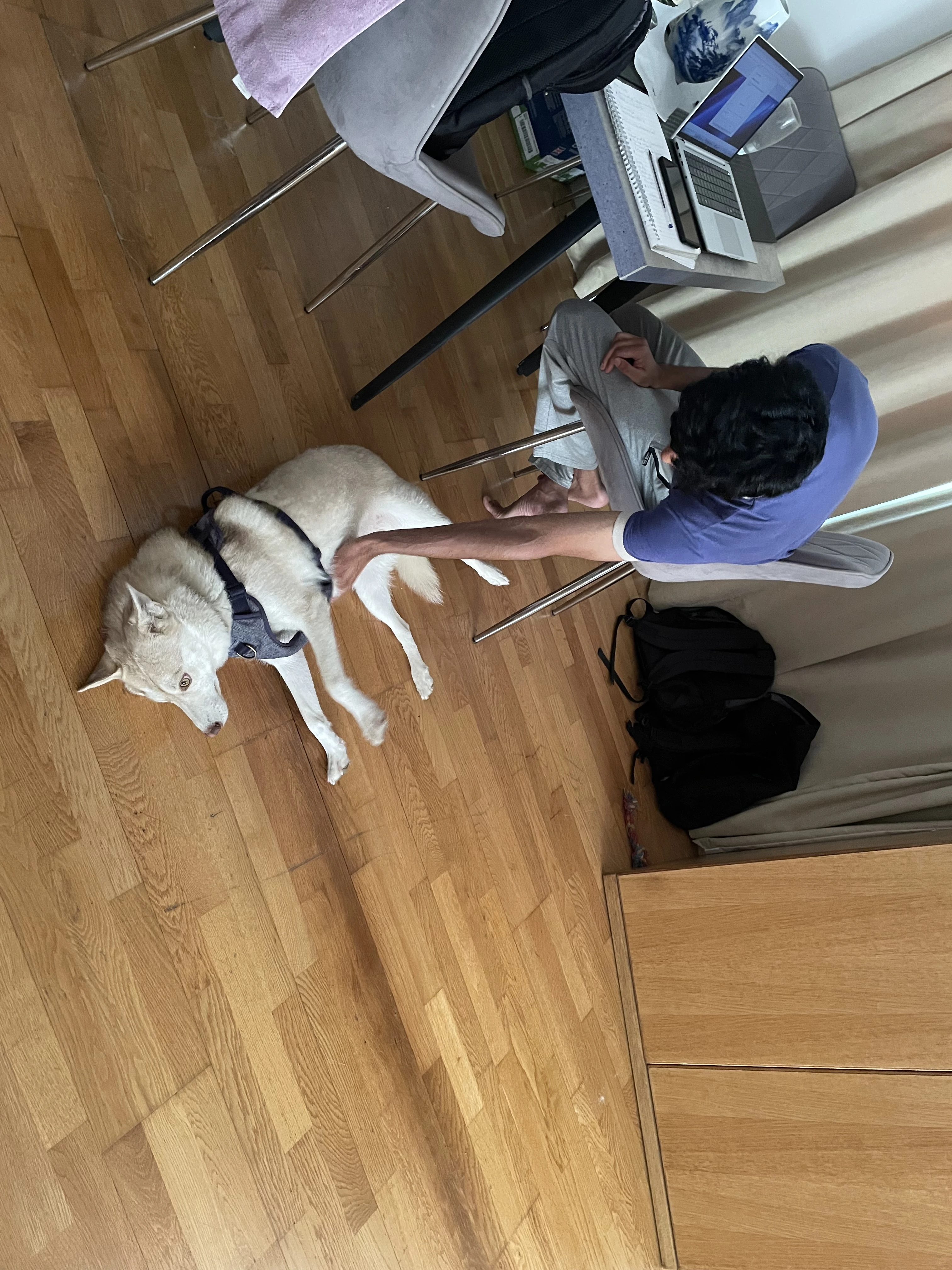 image-3