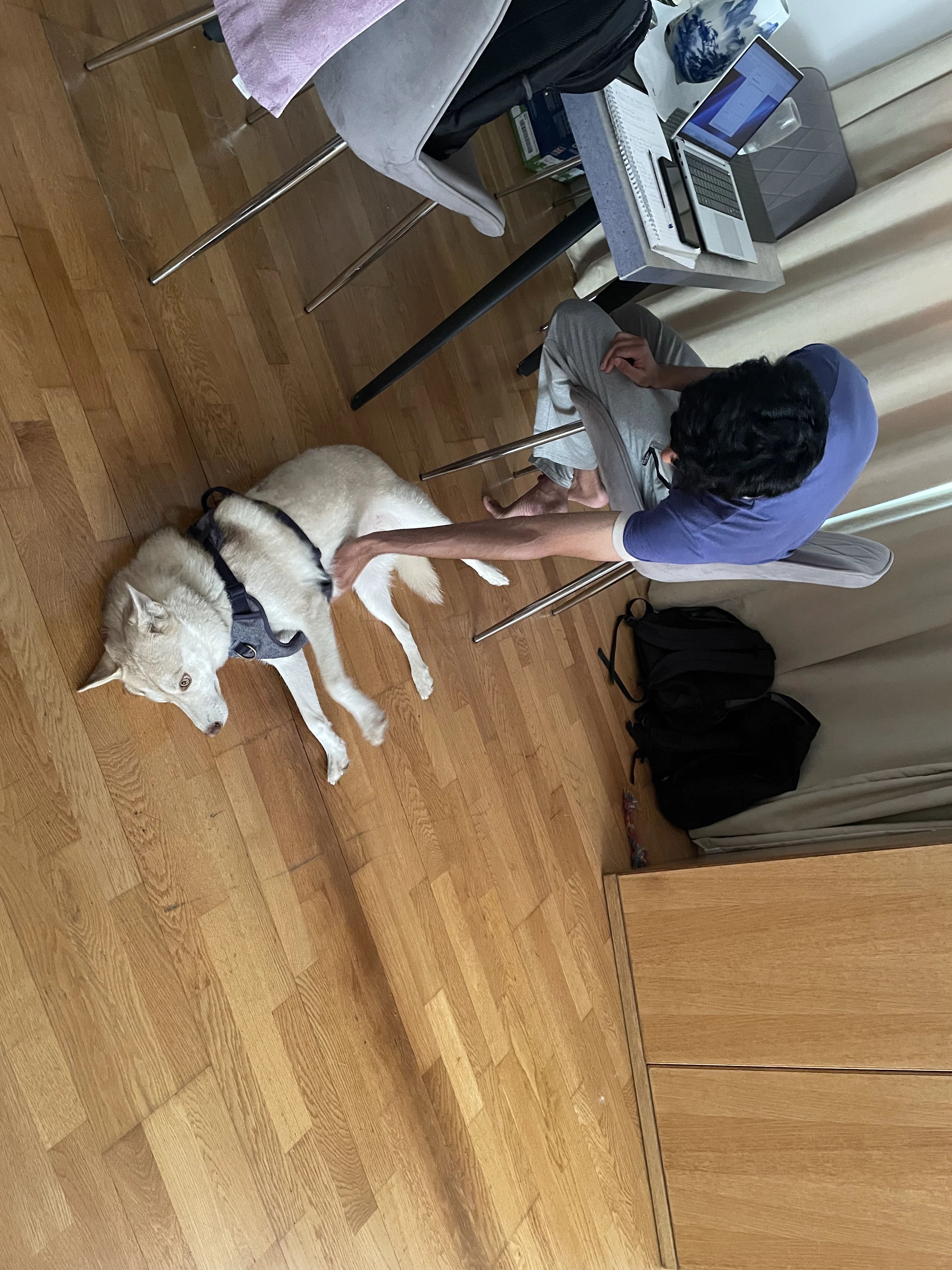 image-3