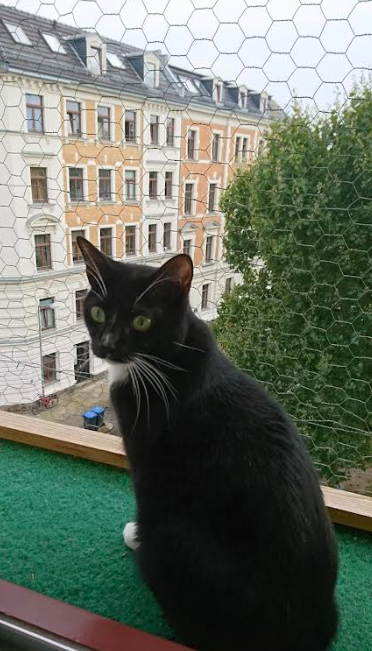 image-8