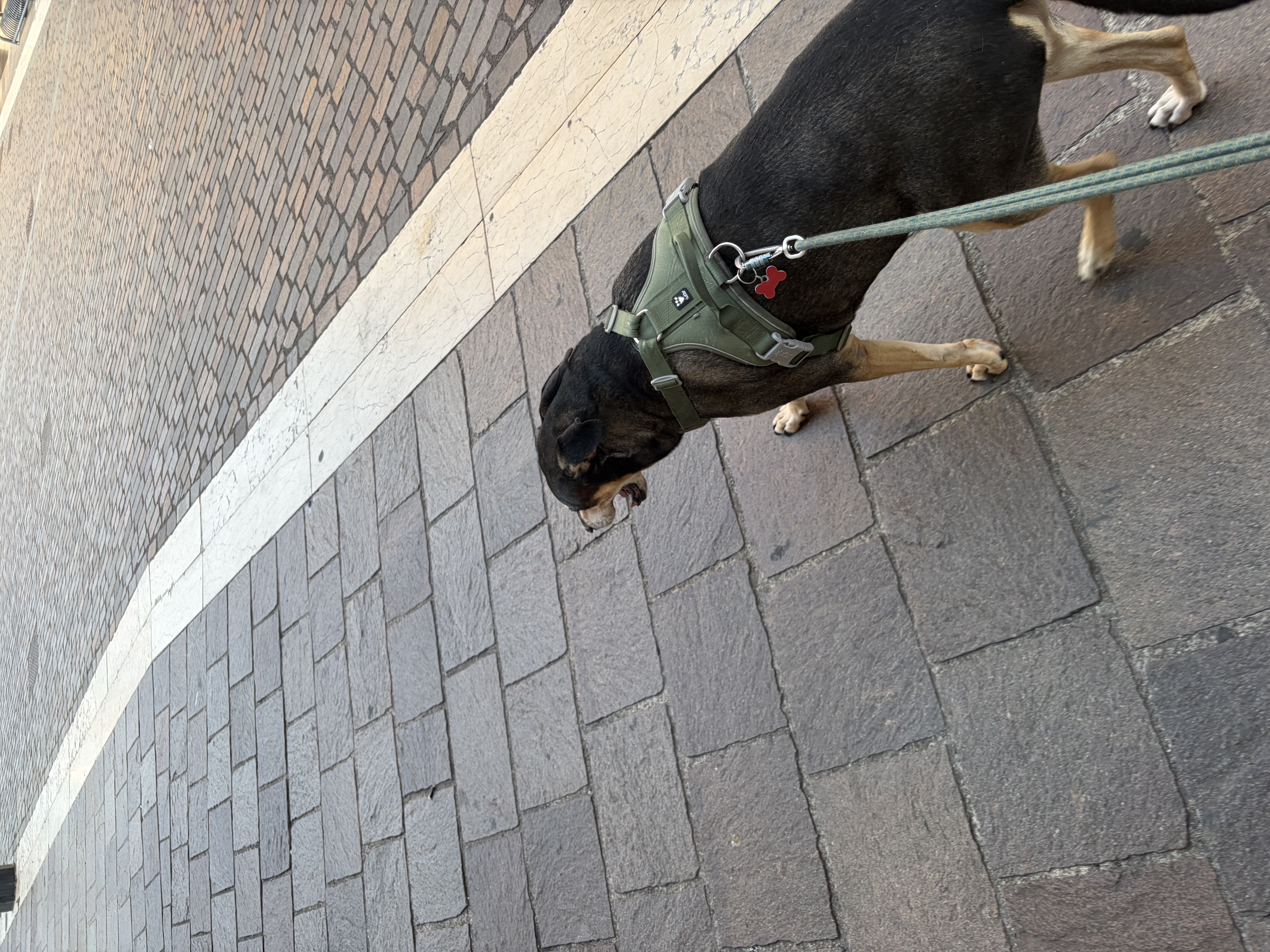 image-18