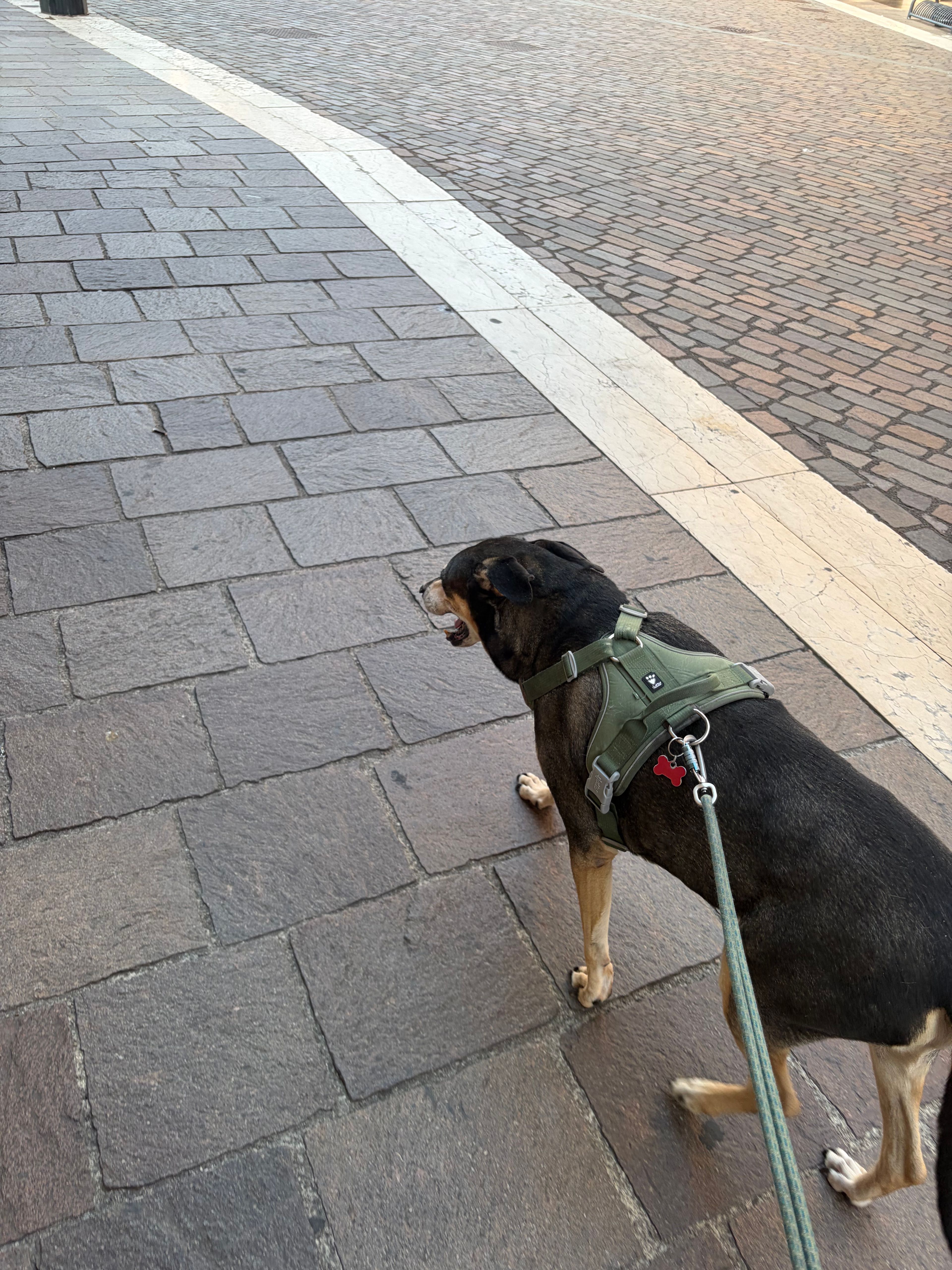 image-18