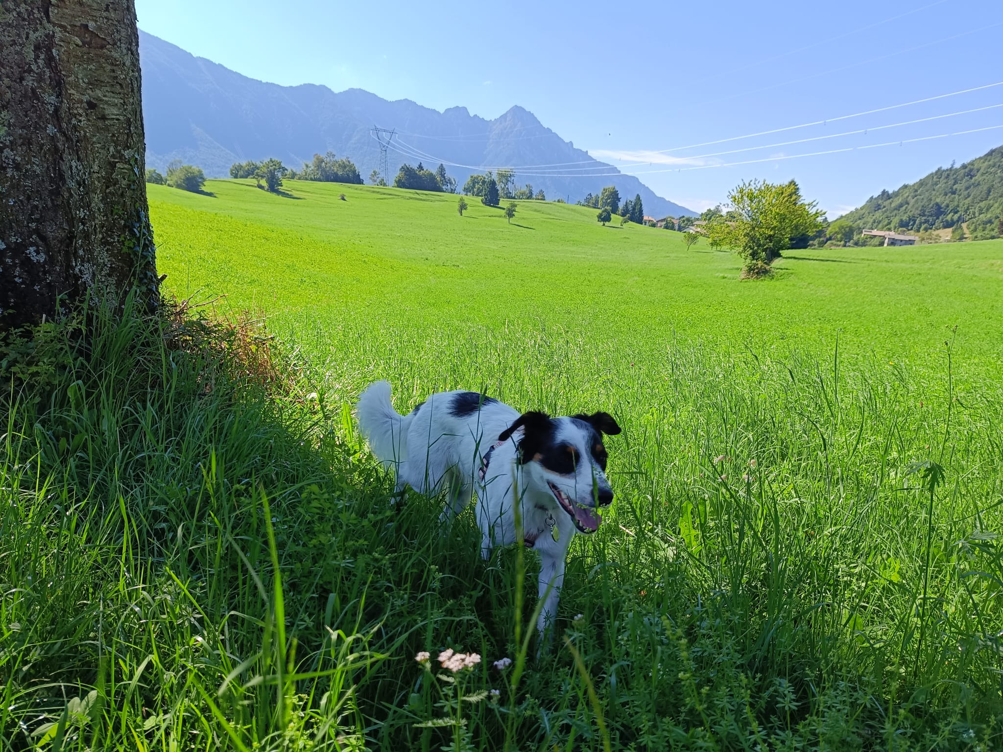 image-10