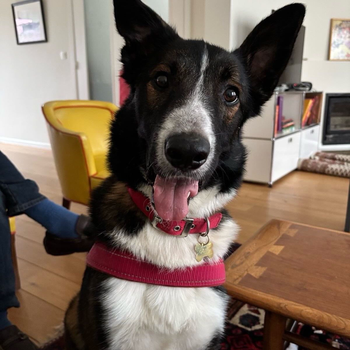 Sabine