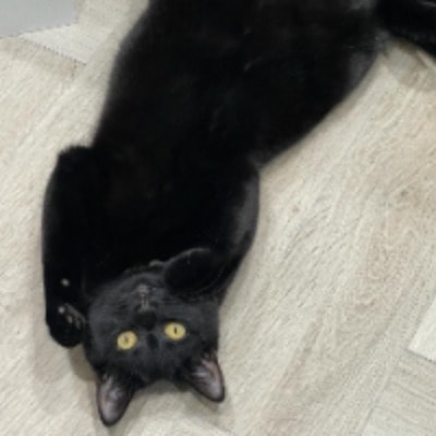 Clyde