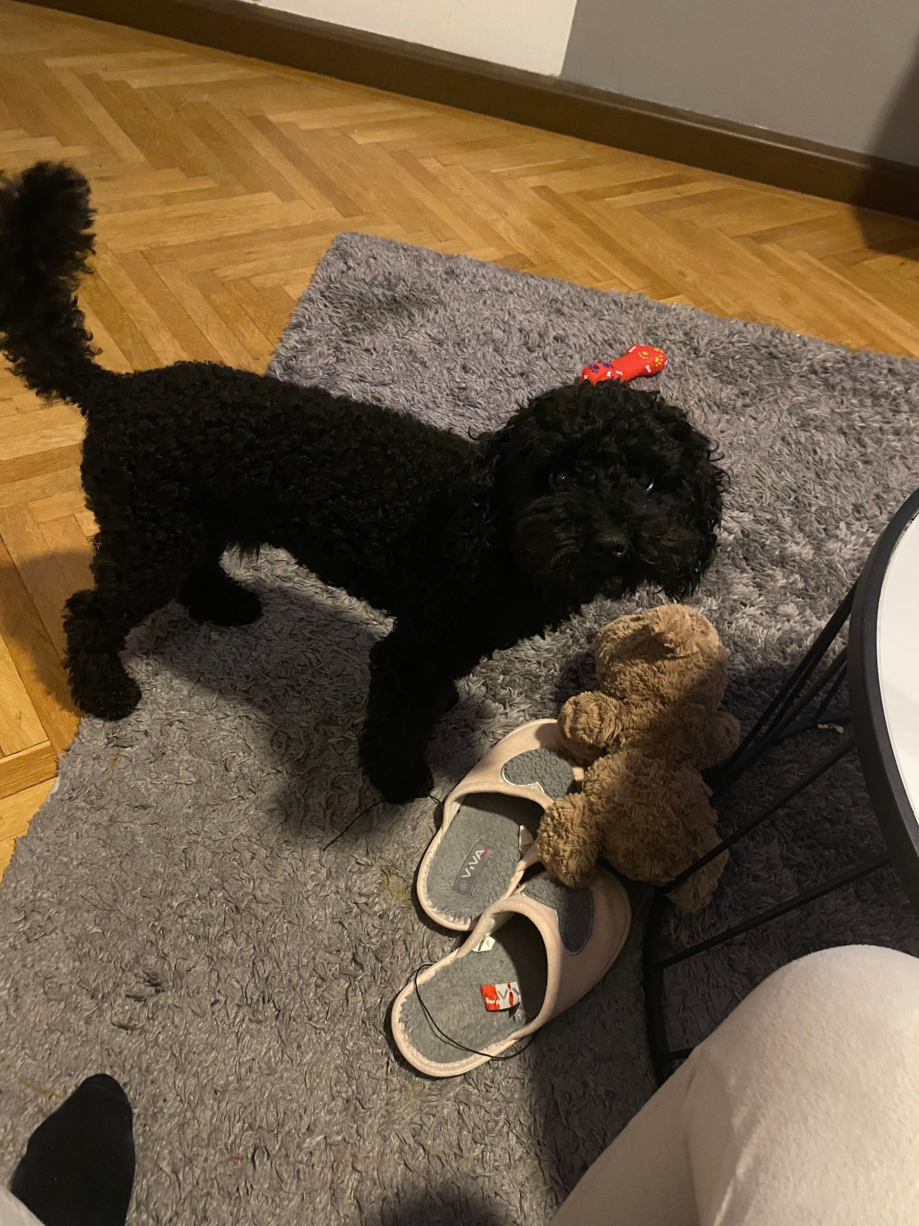 image-23
