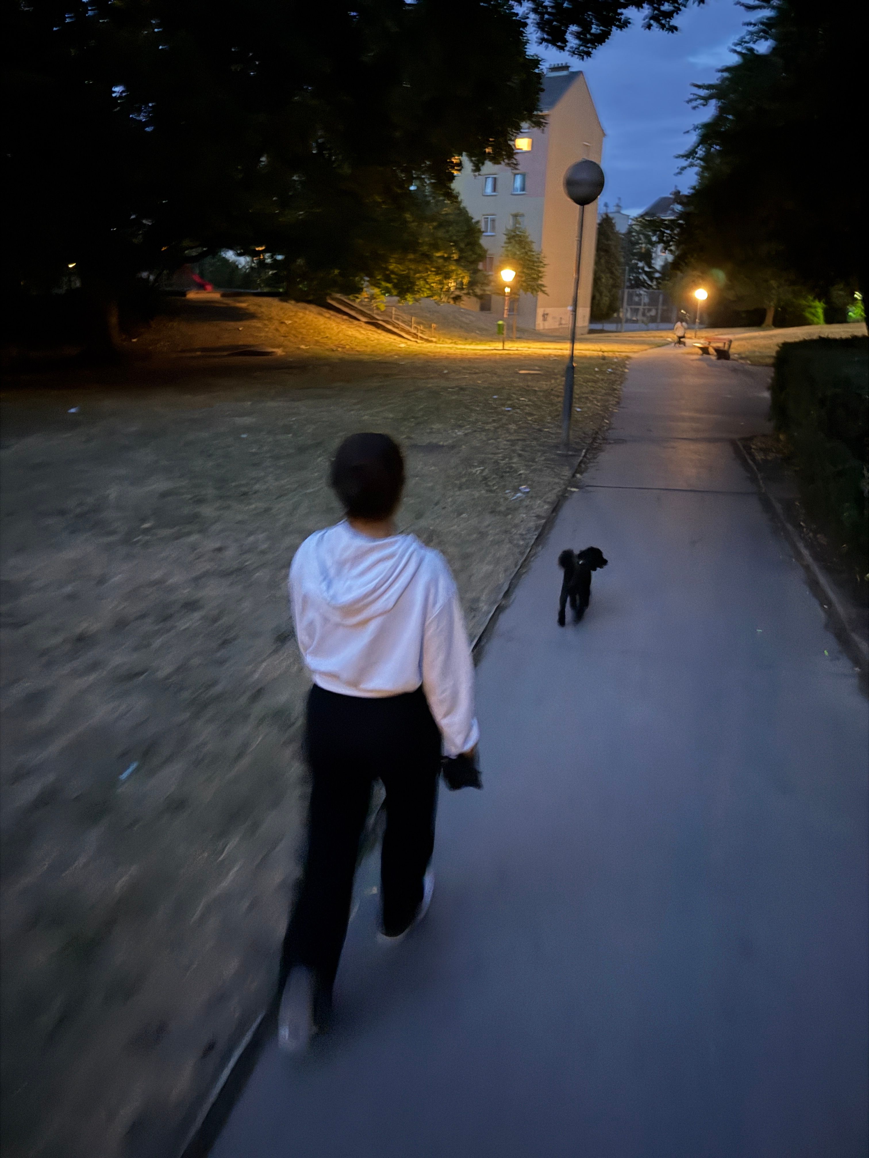 image-3