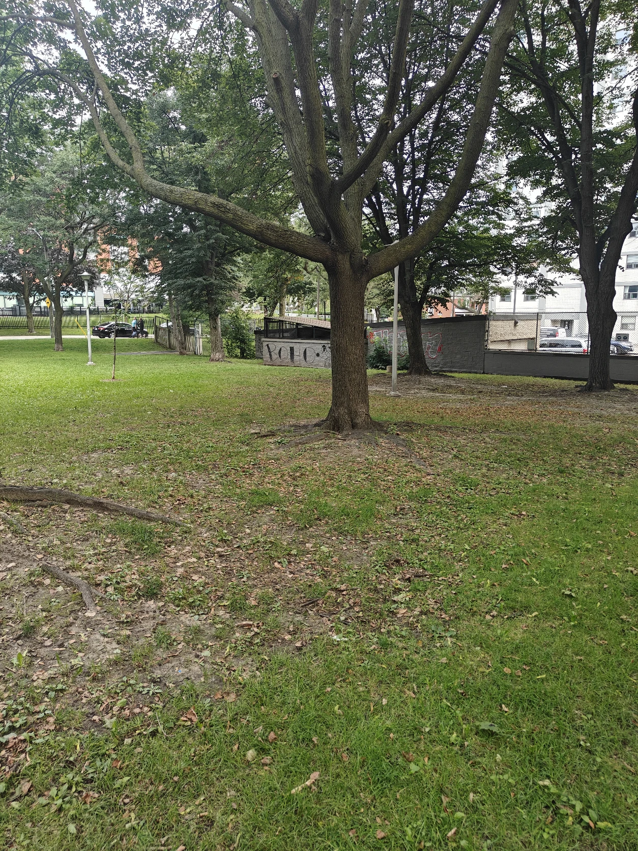 image-25