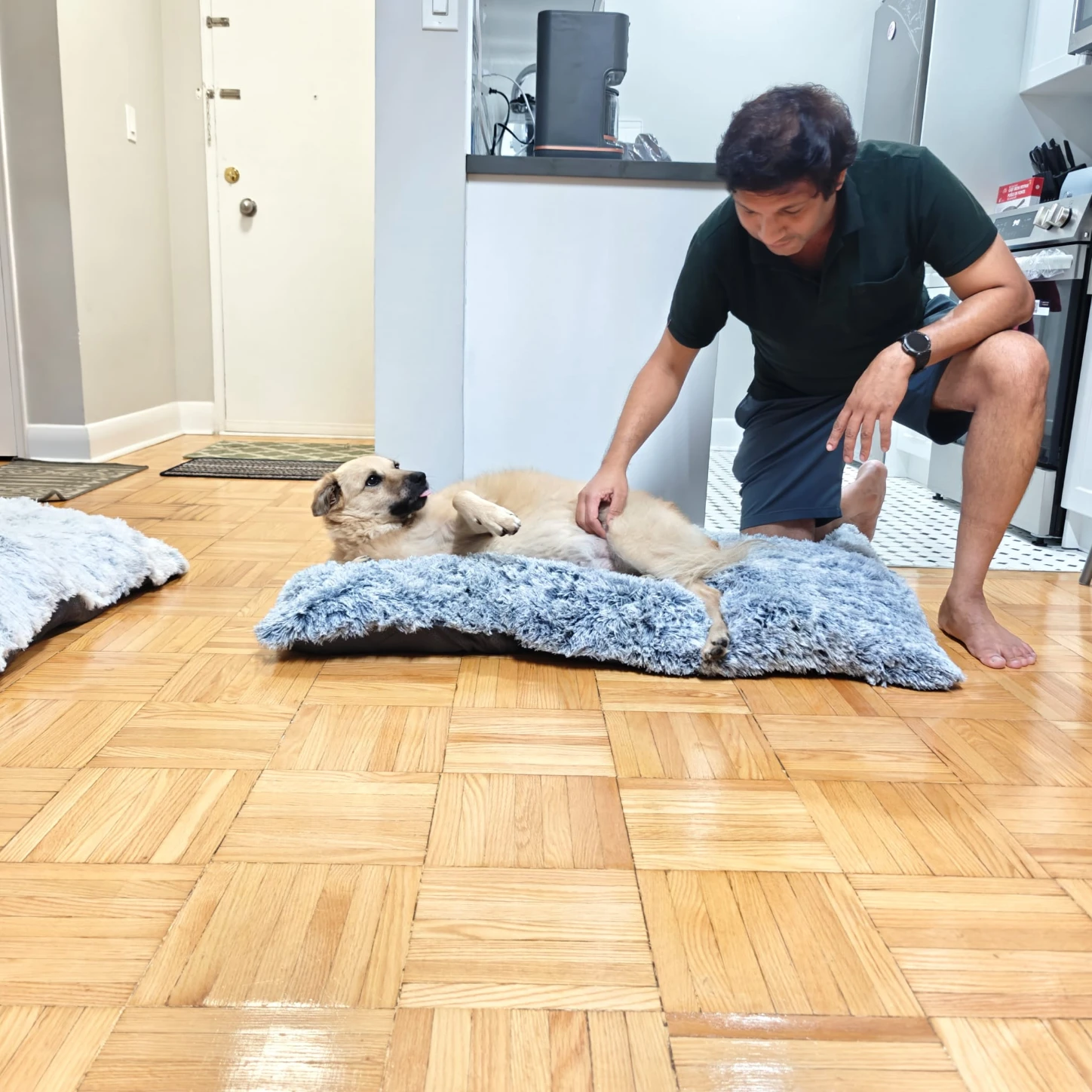 image-16