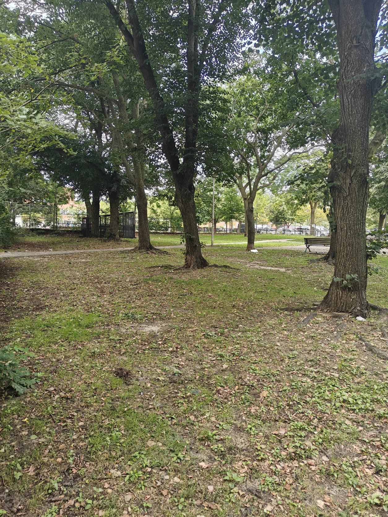 image-24