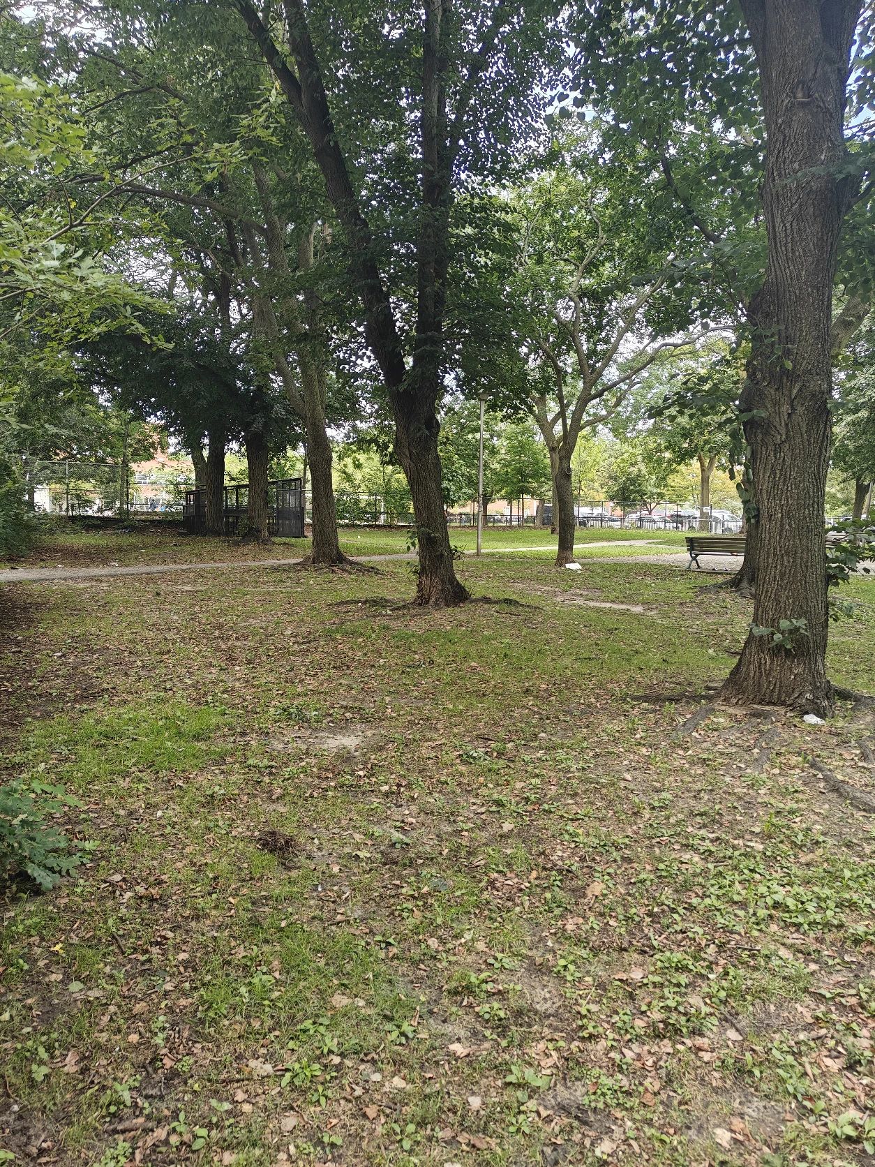 image-24