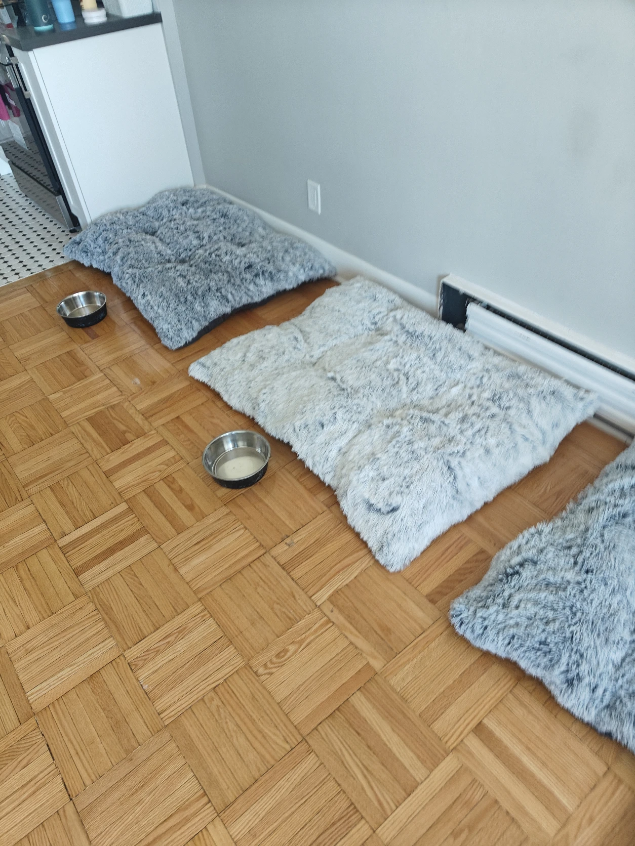 image-20