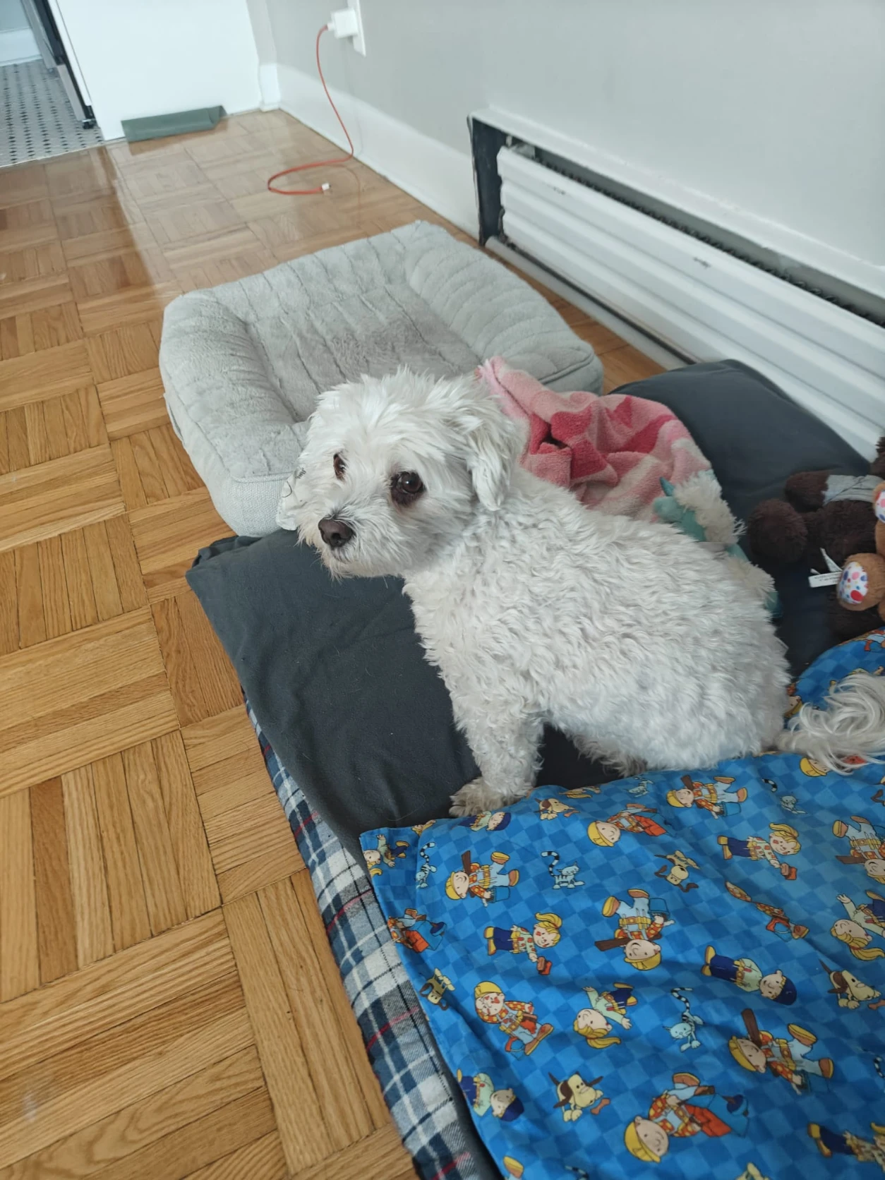 image-14