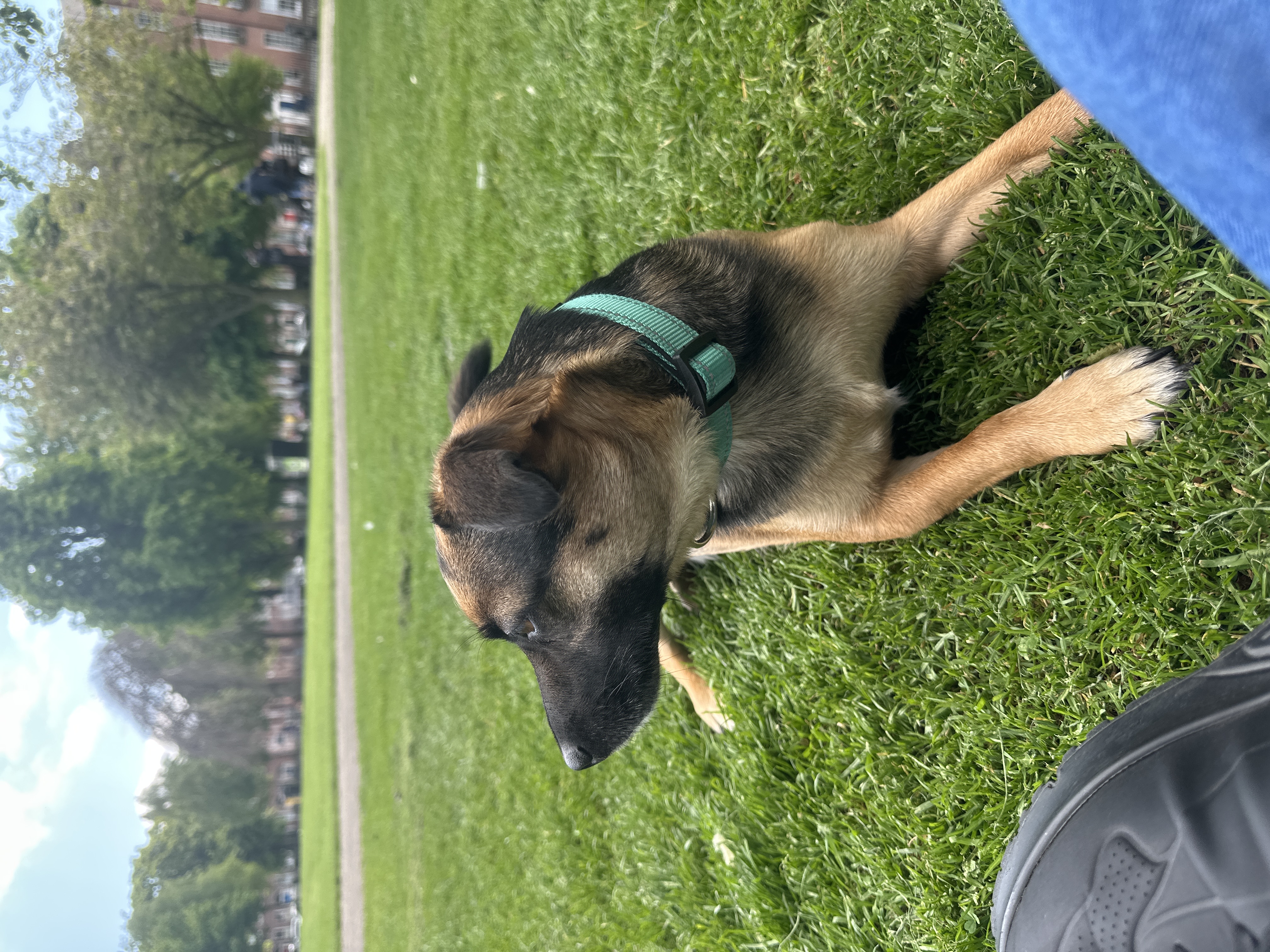 image-10