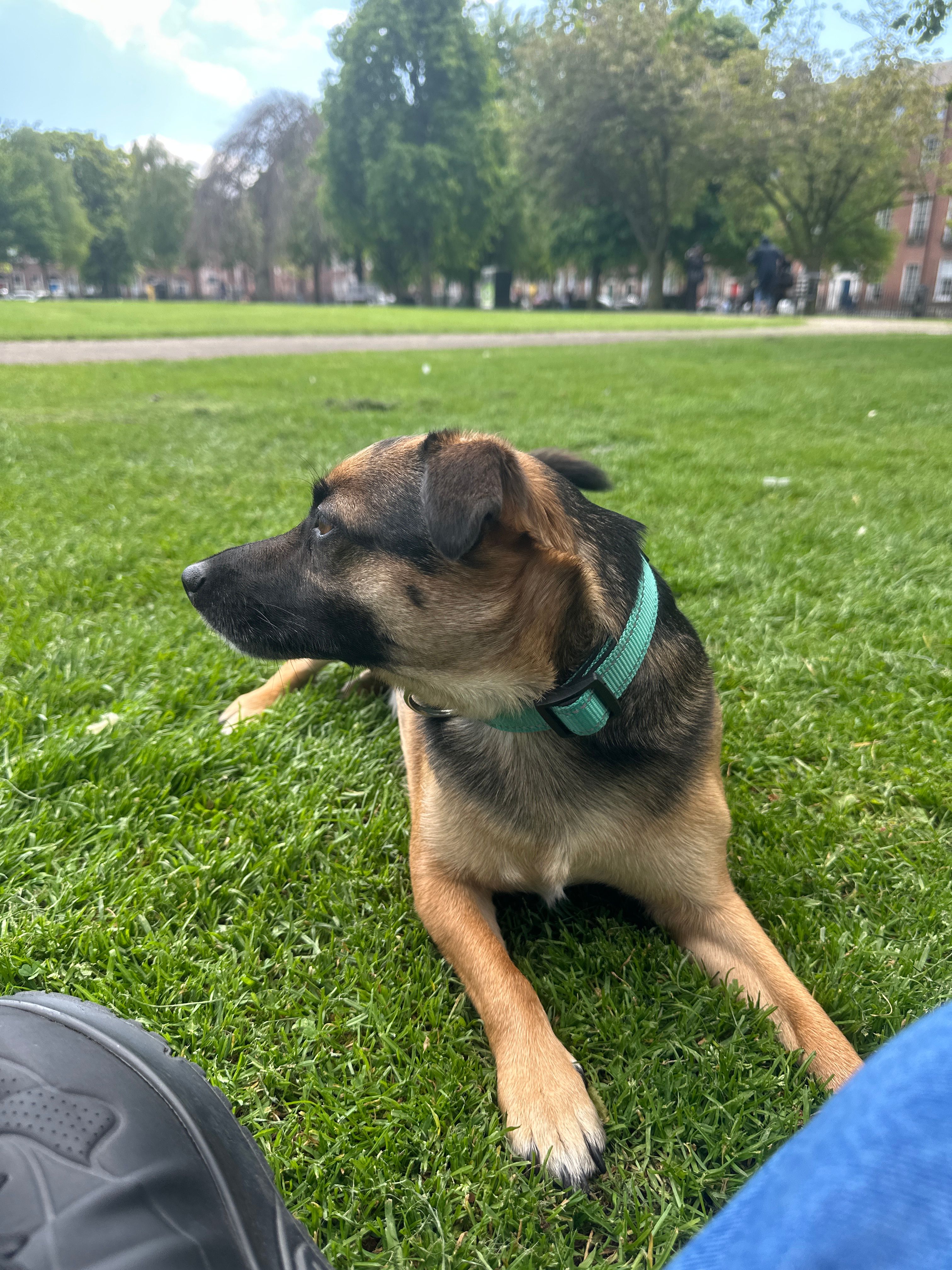 image-10