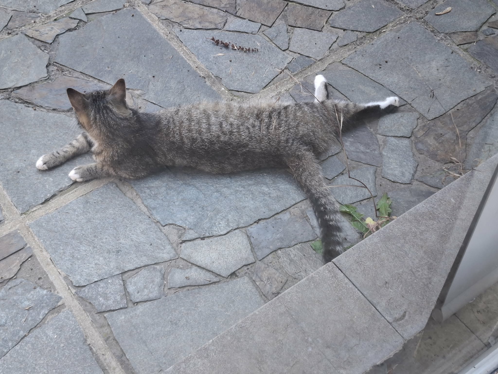 image-9
