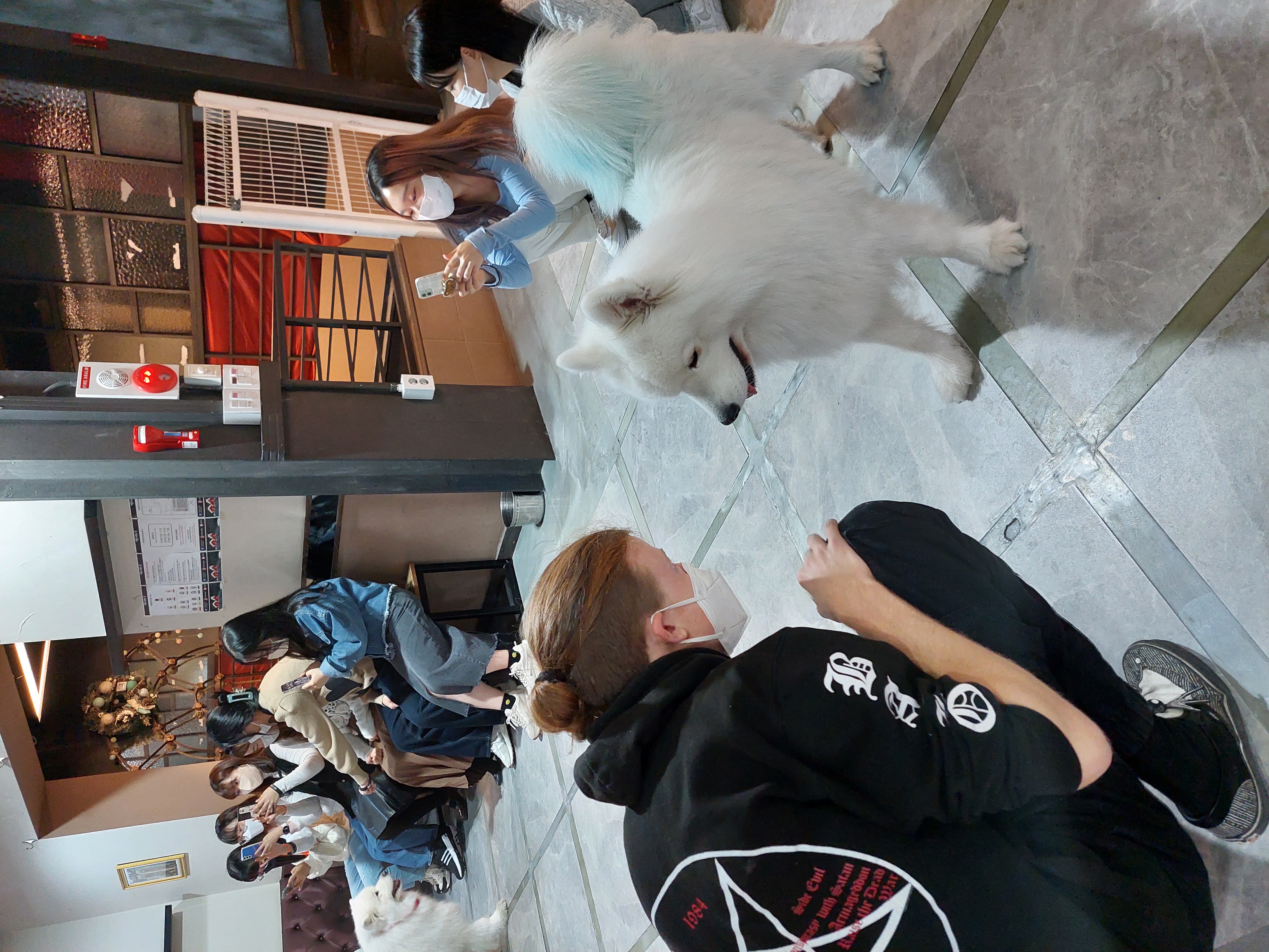 image-6