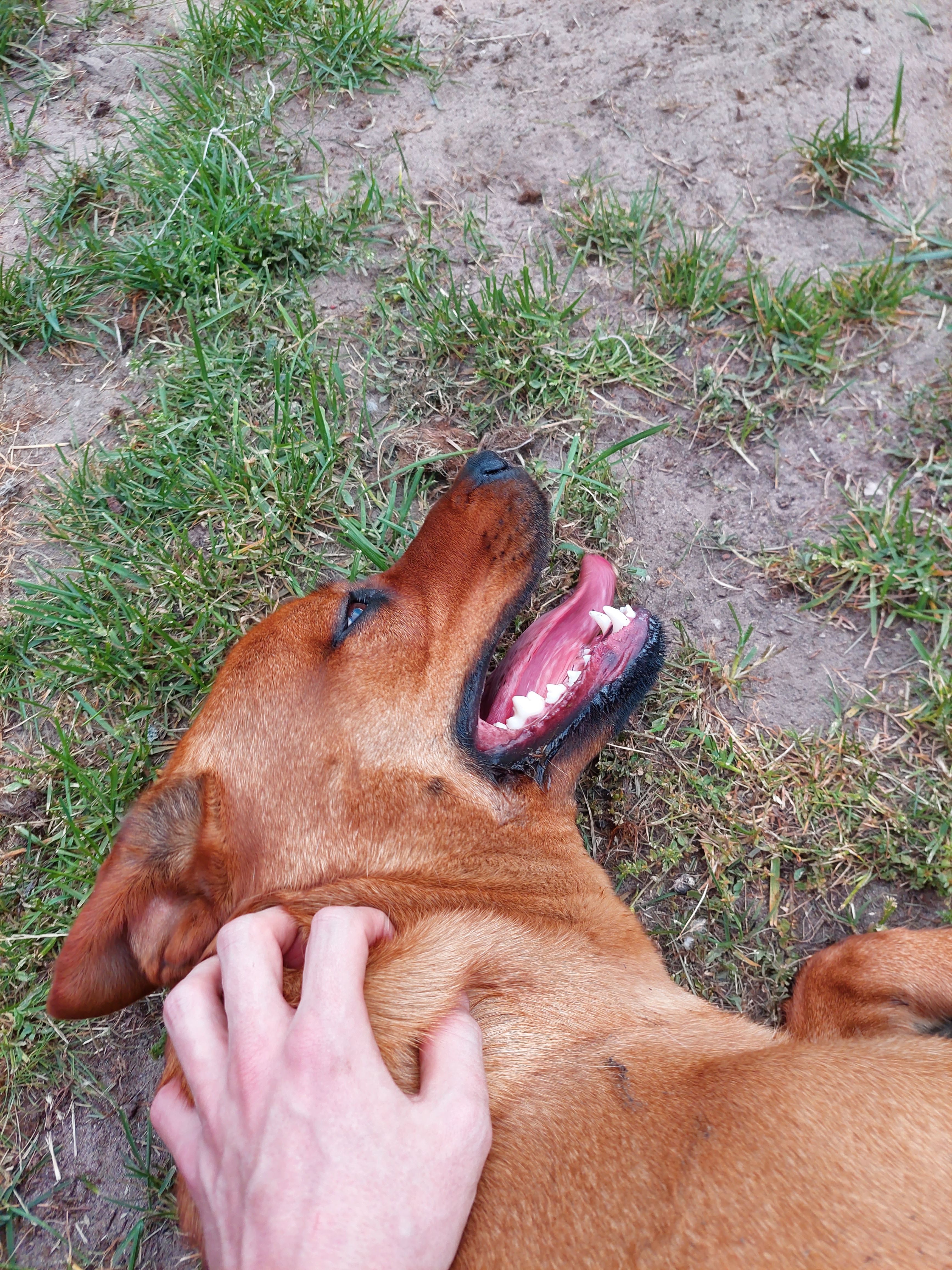 image-7