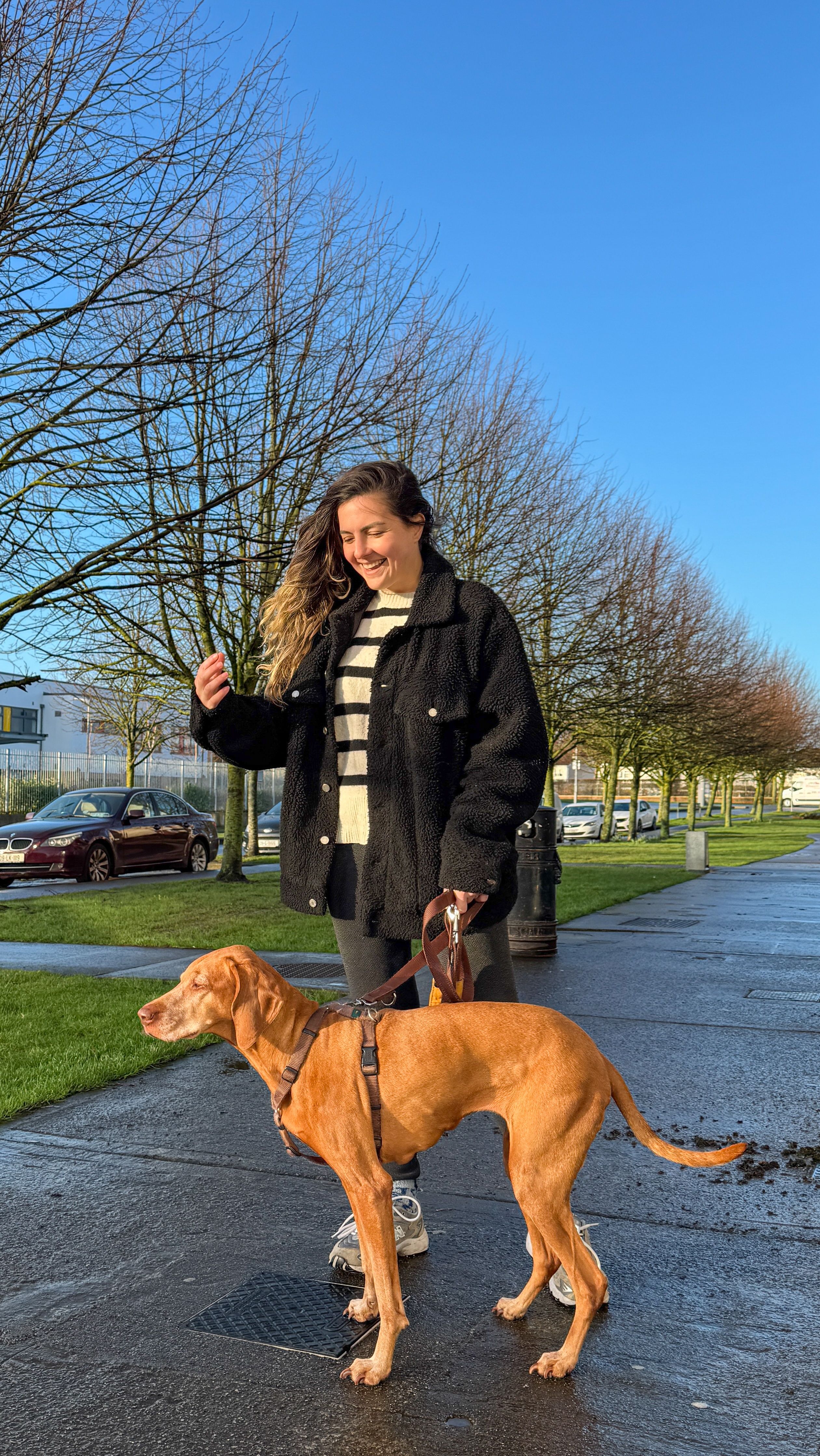 image-7