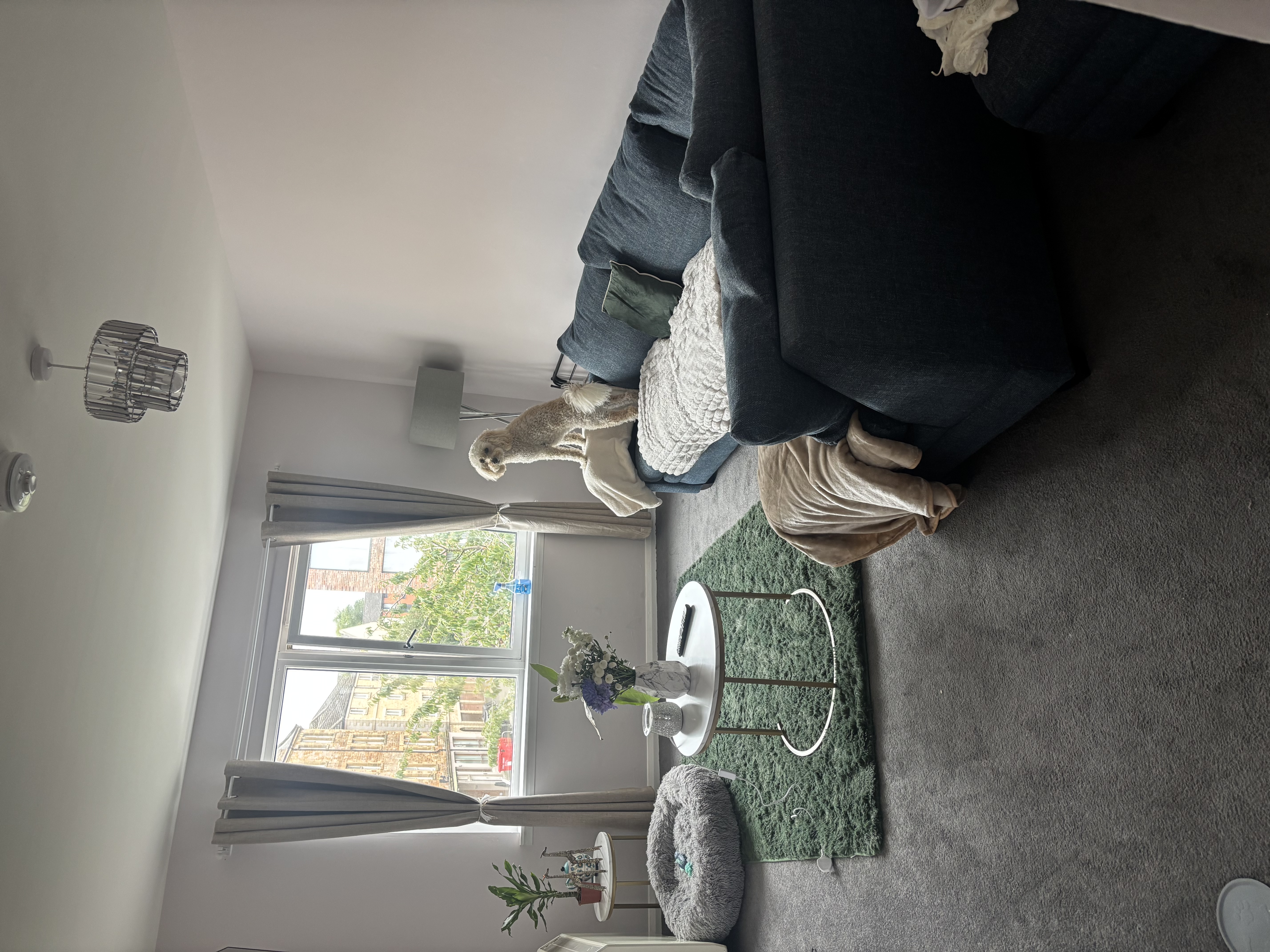 image-20