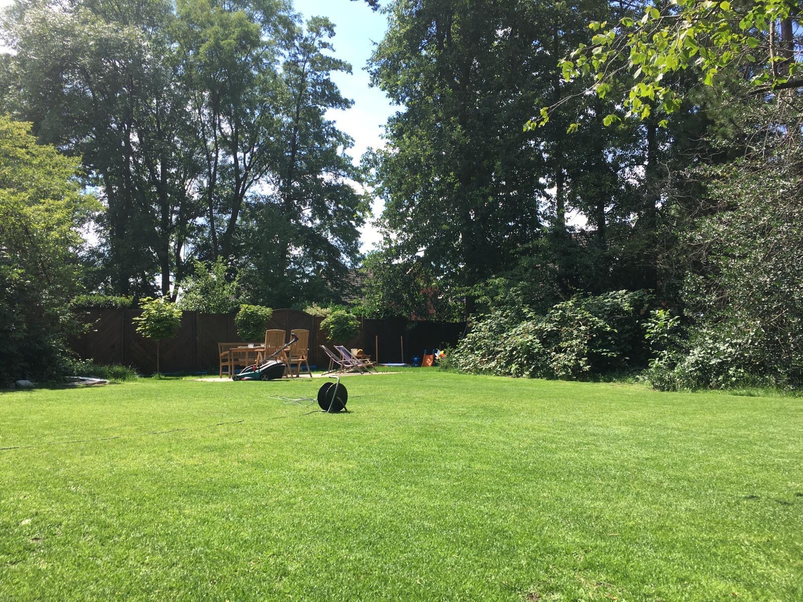 image-10