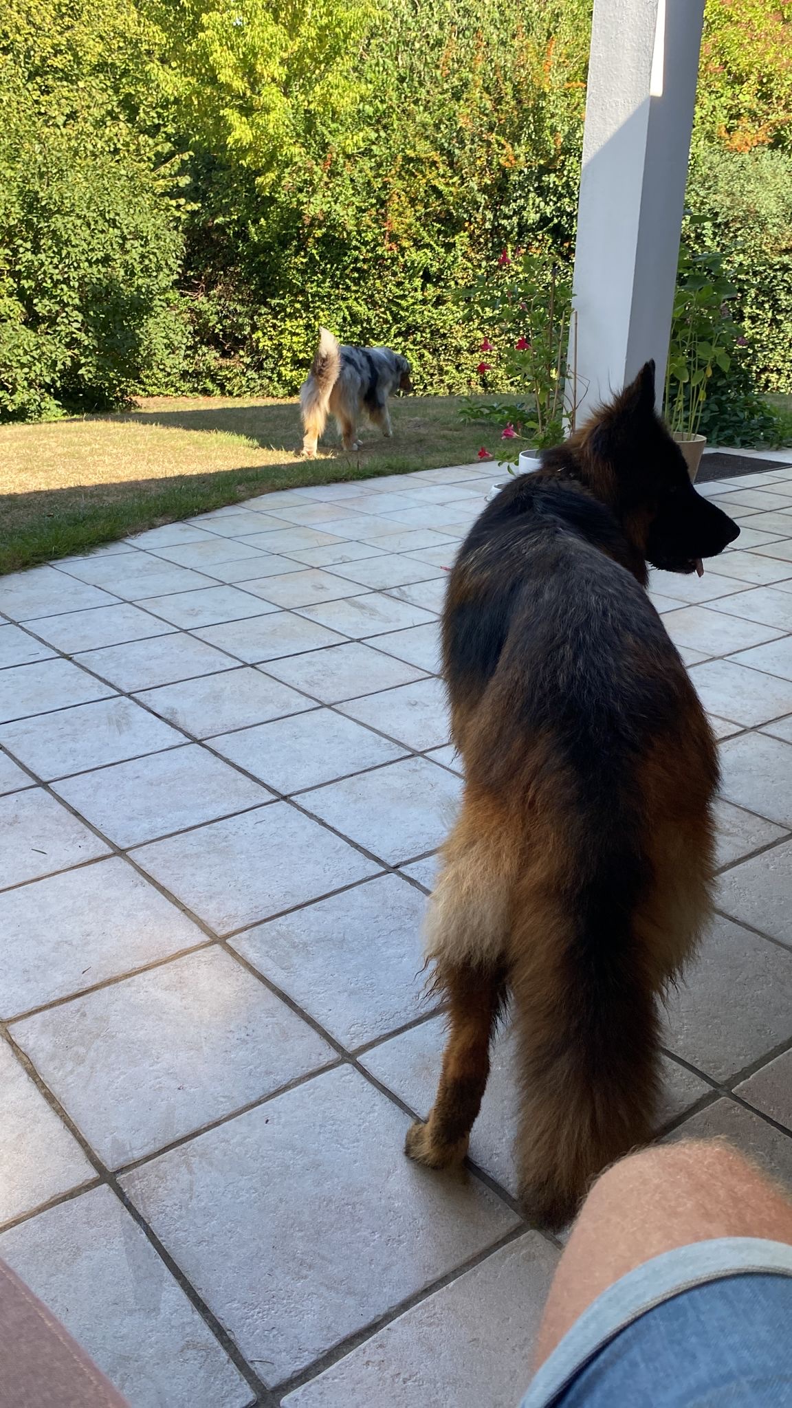 image-18