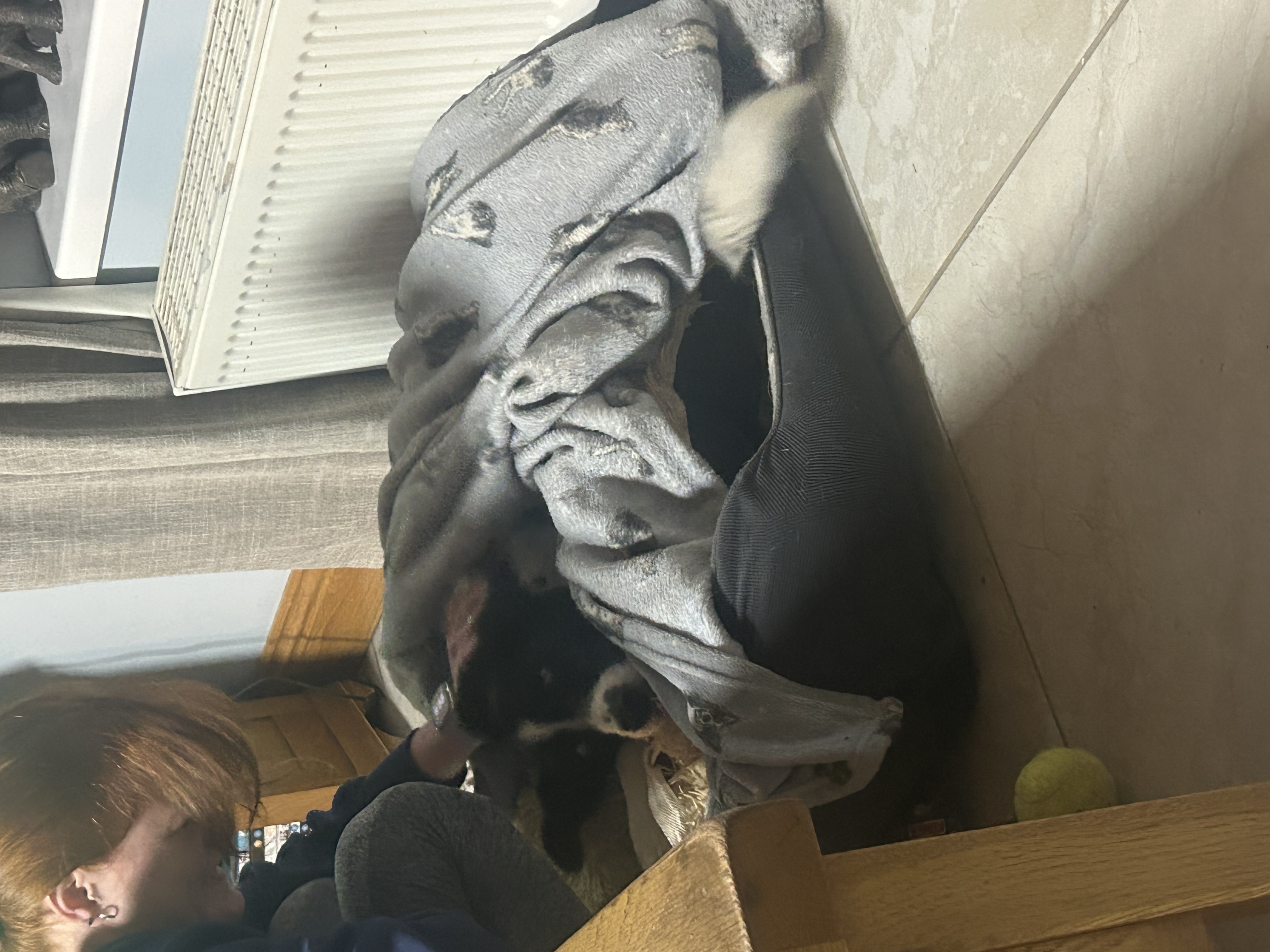 image-6