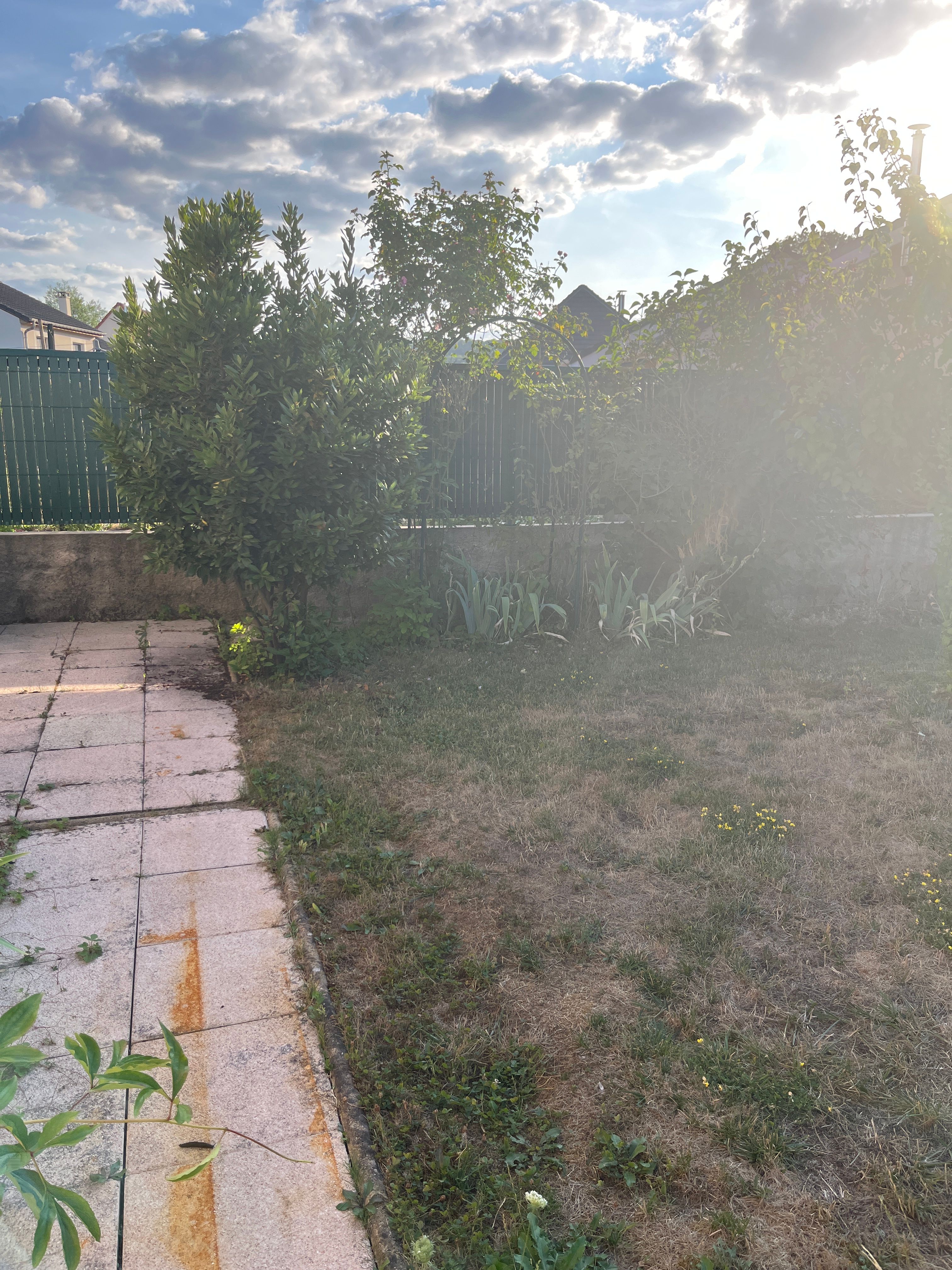 image-18