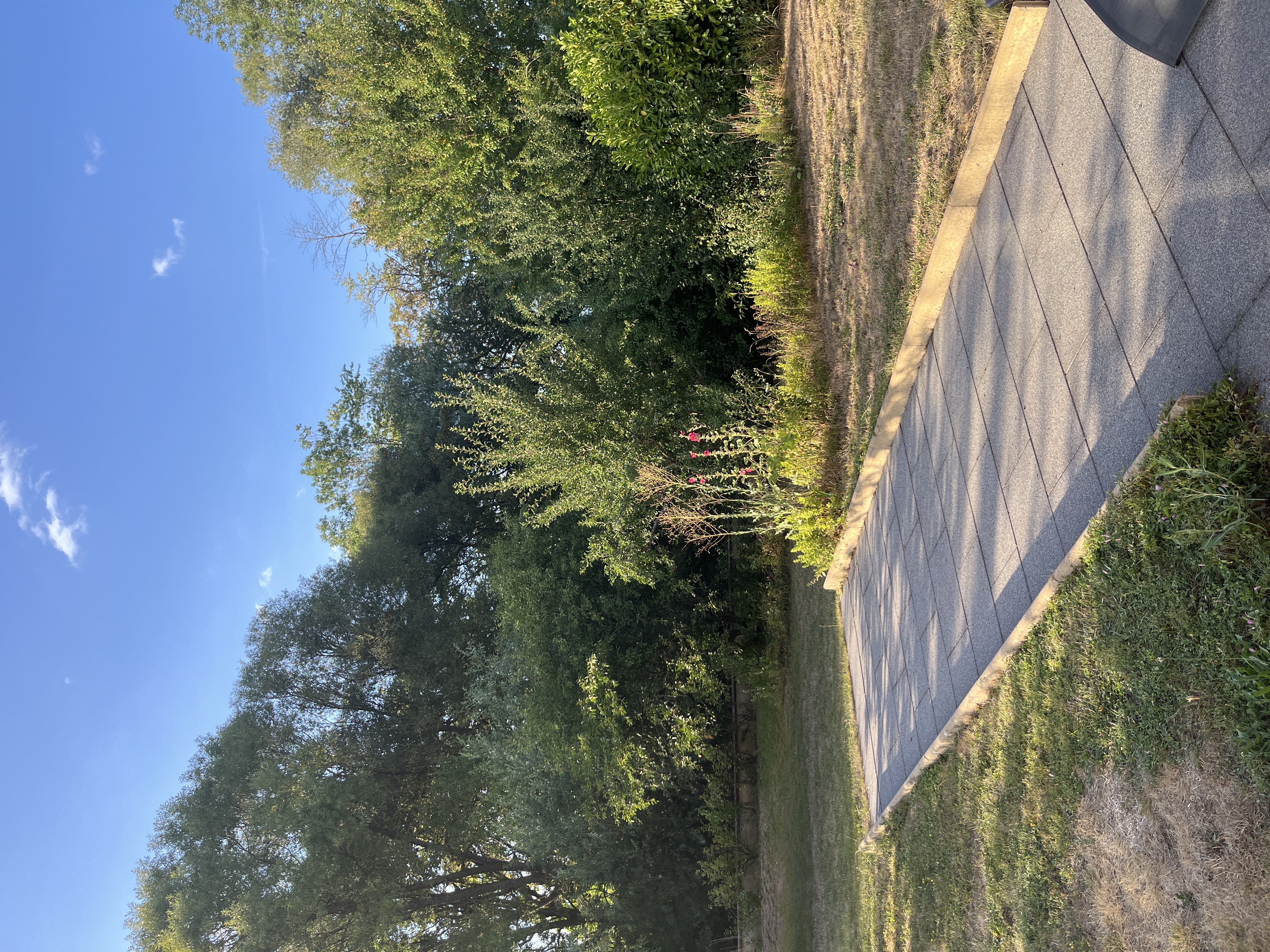 image-20