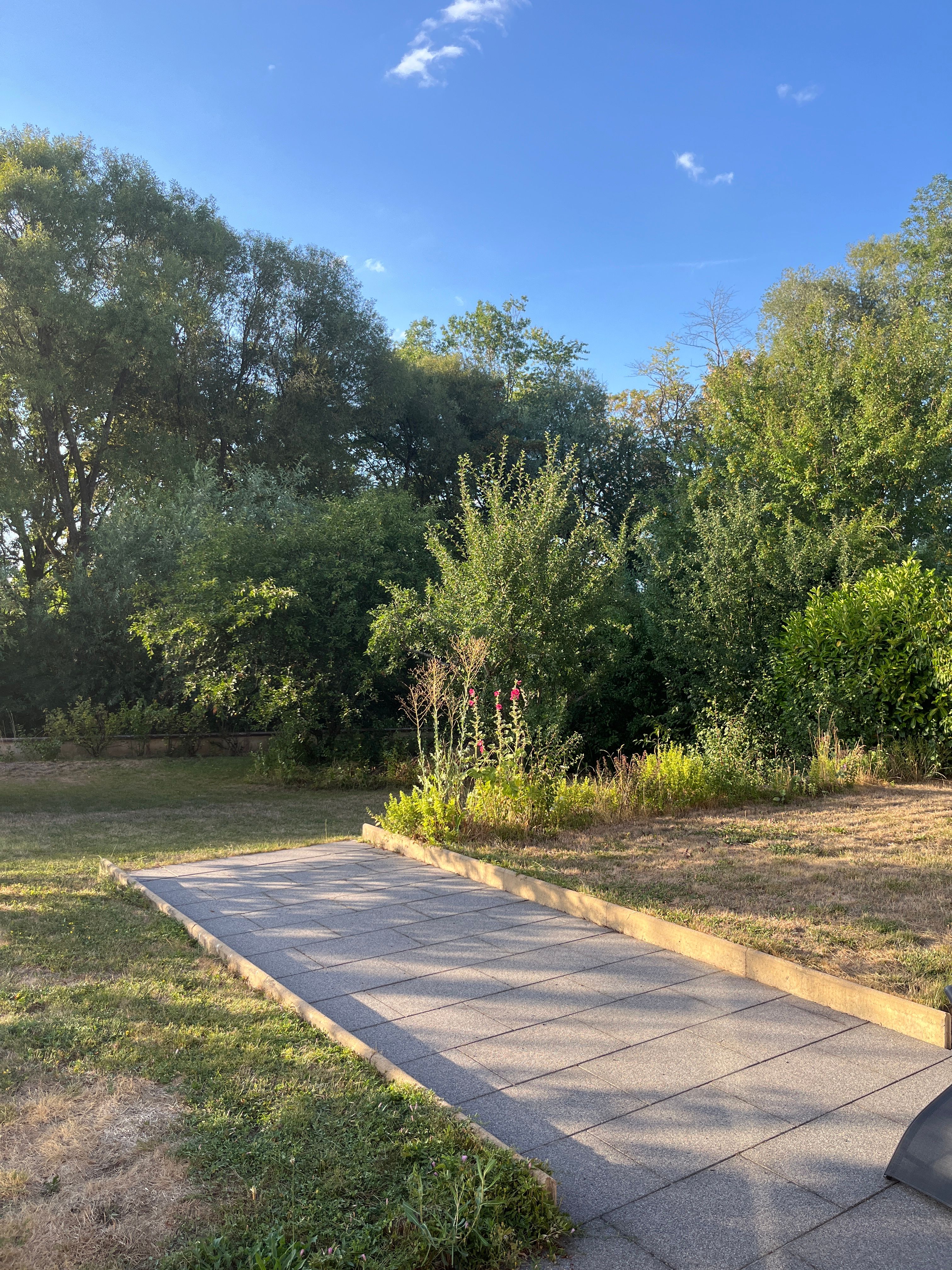 image-20