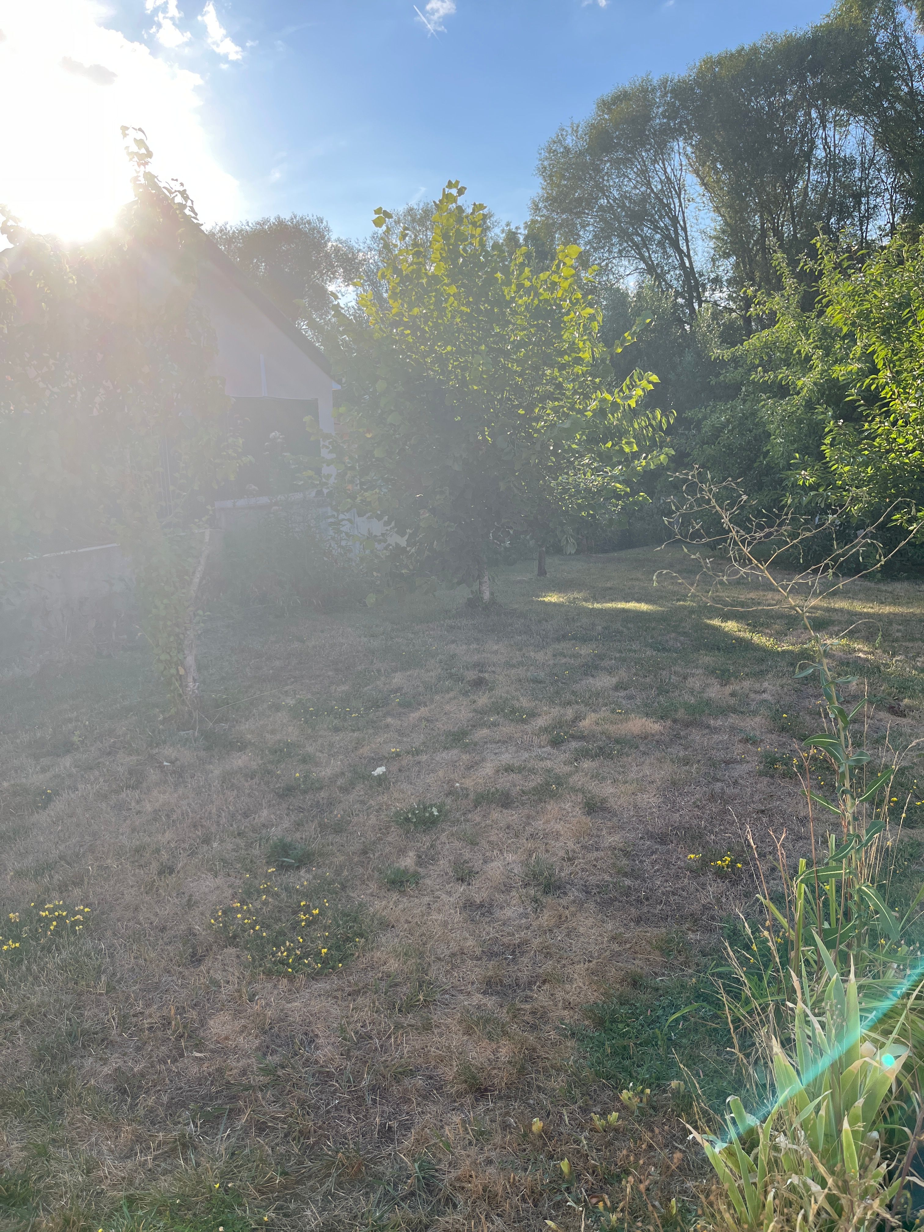 image-19