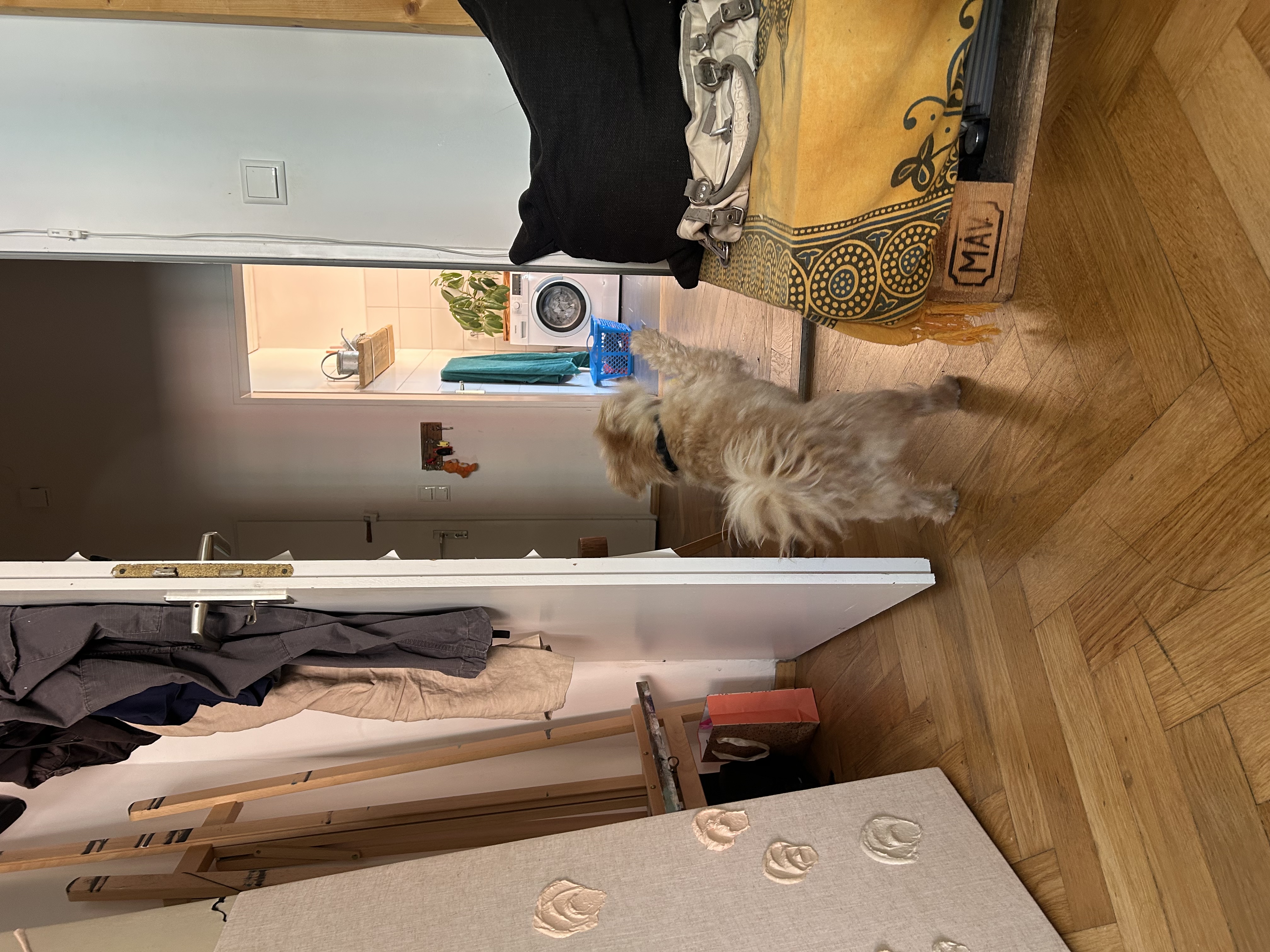 image-13