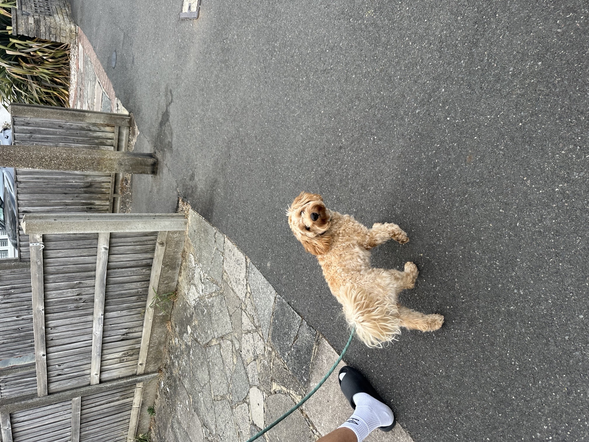 image-15